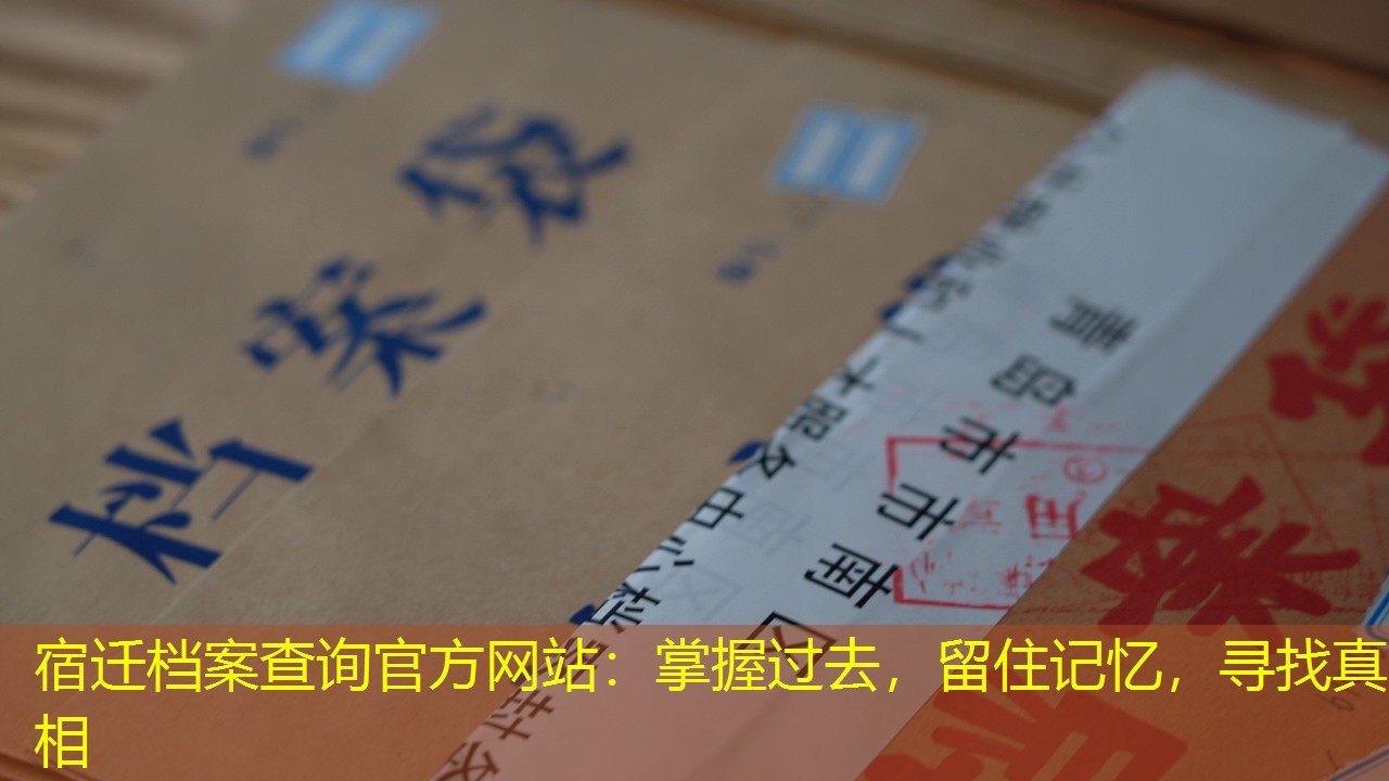 档案查询