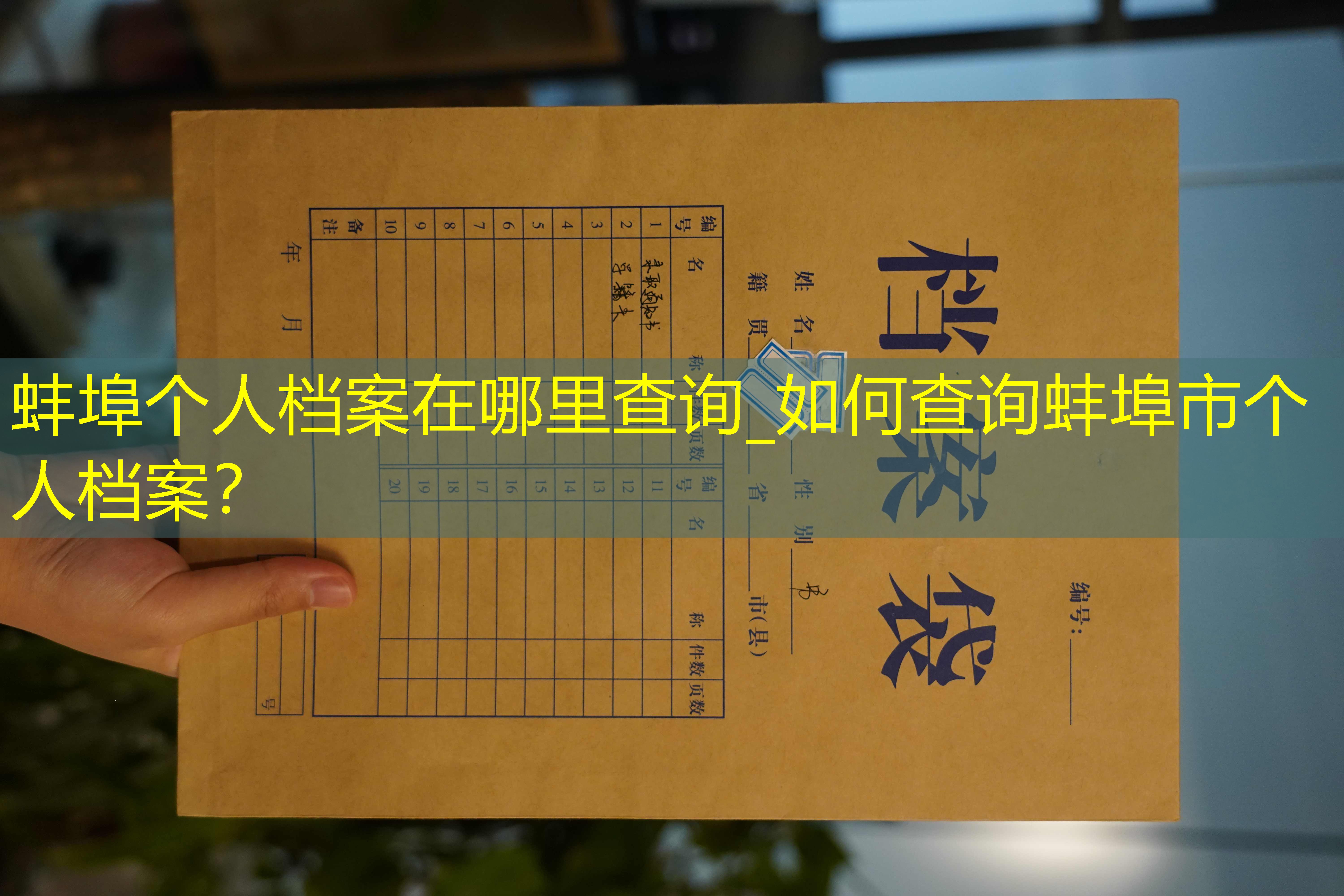 档案查询