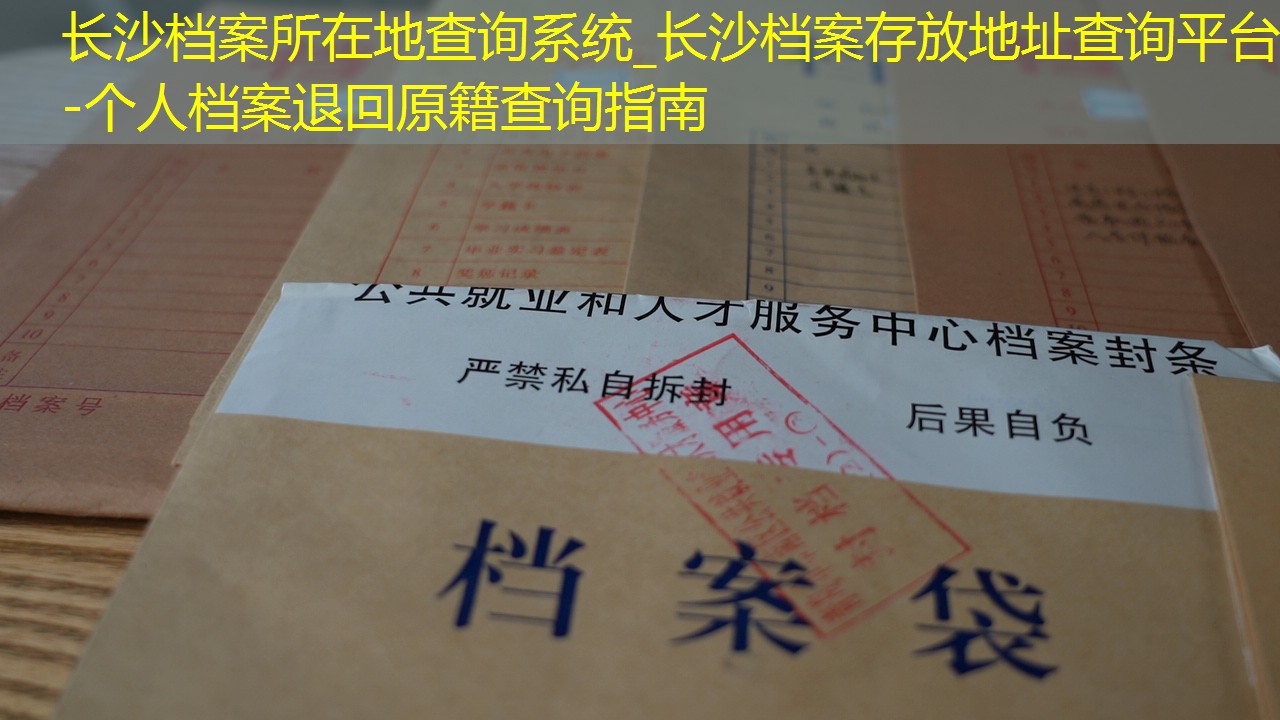 档案查询