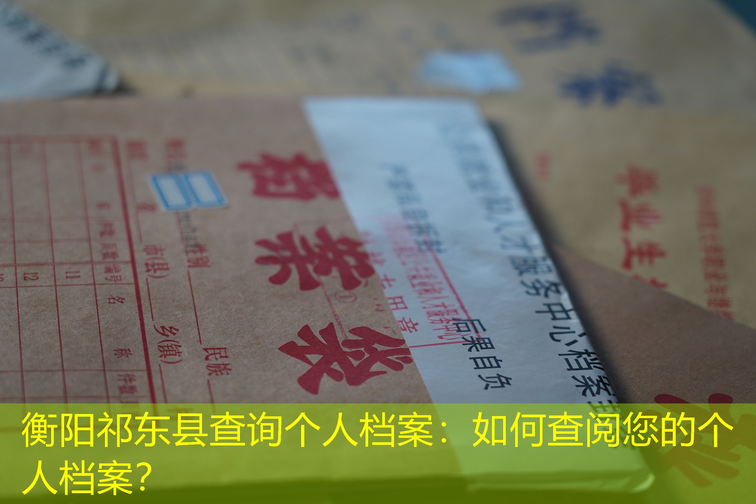 档案查询