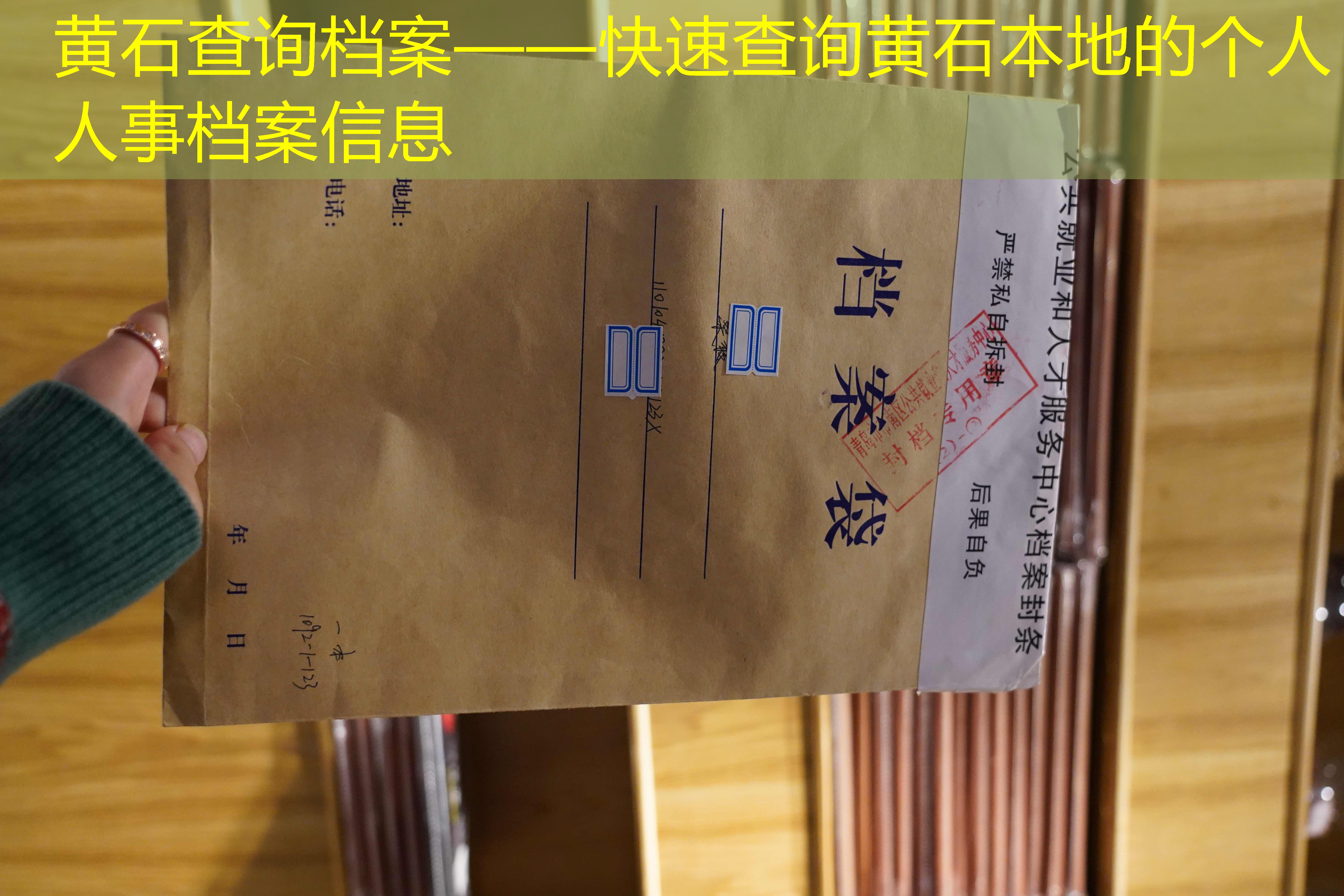 档案查询