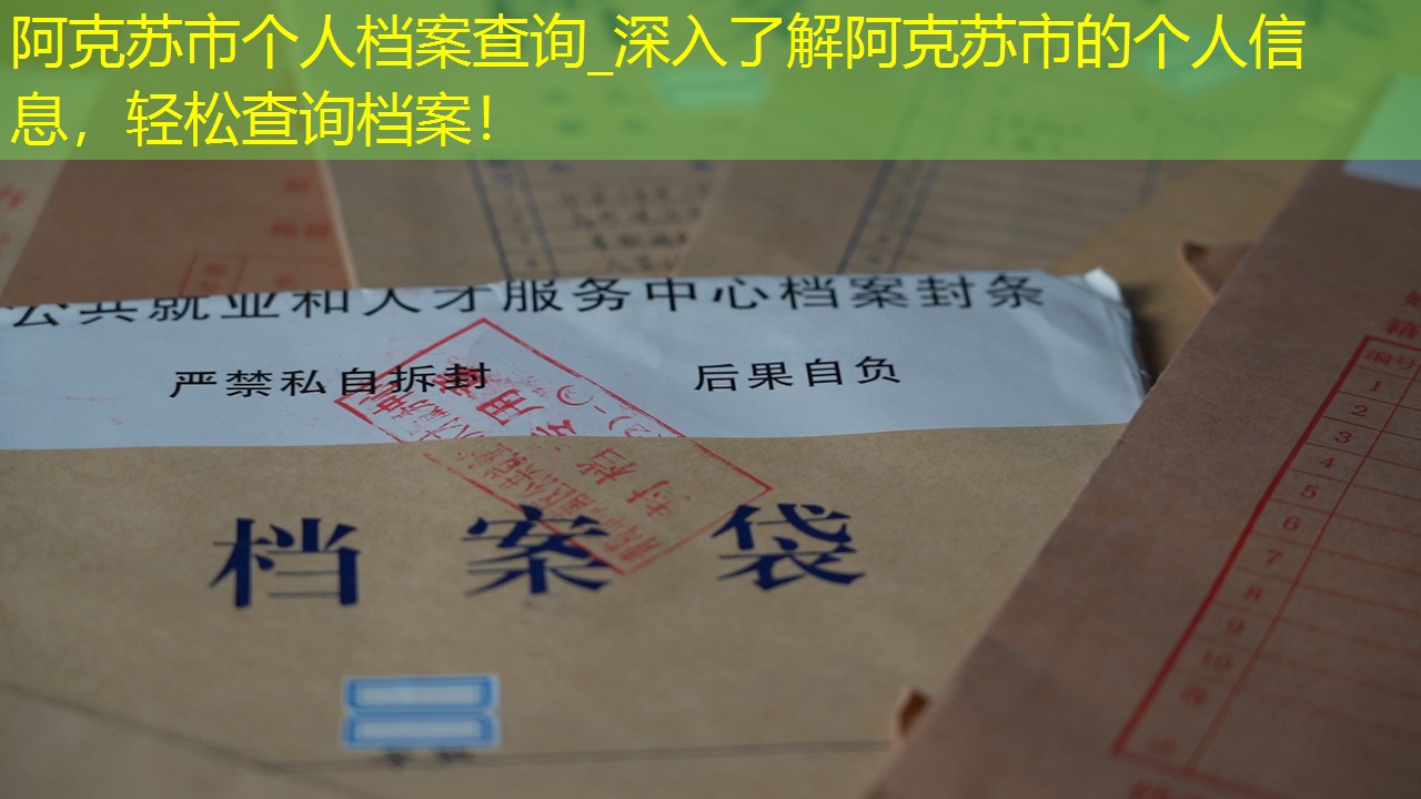 档案查询