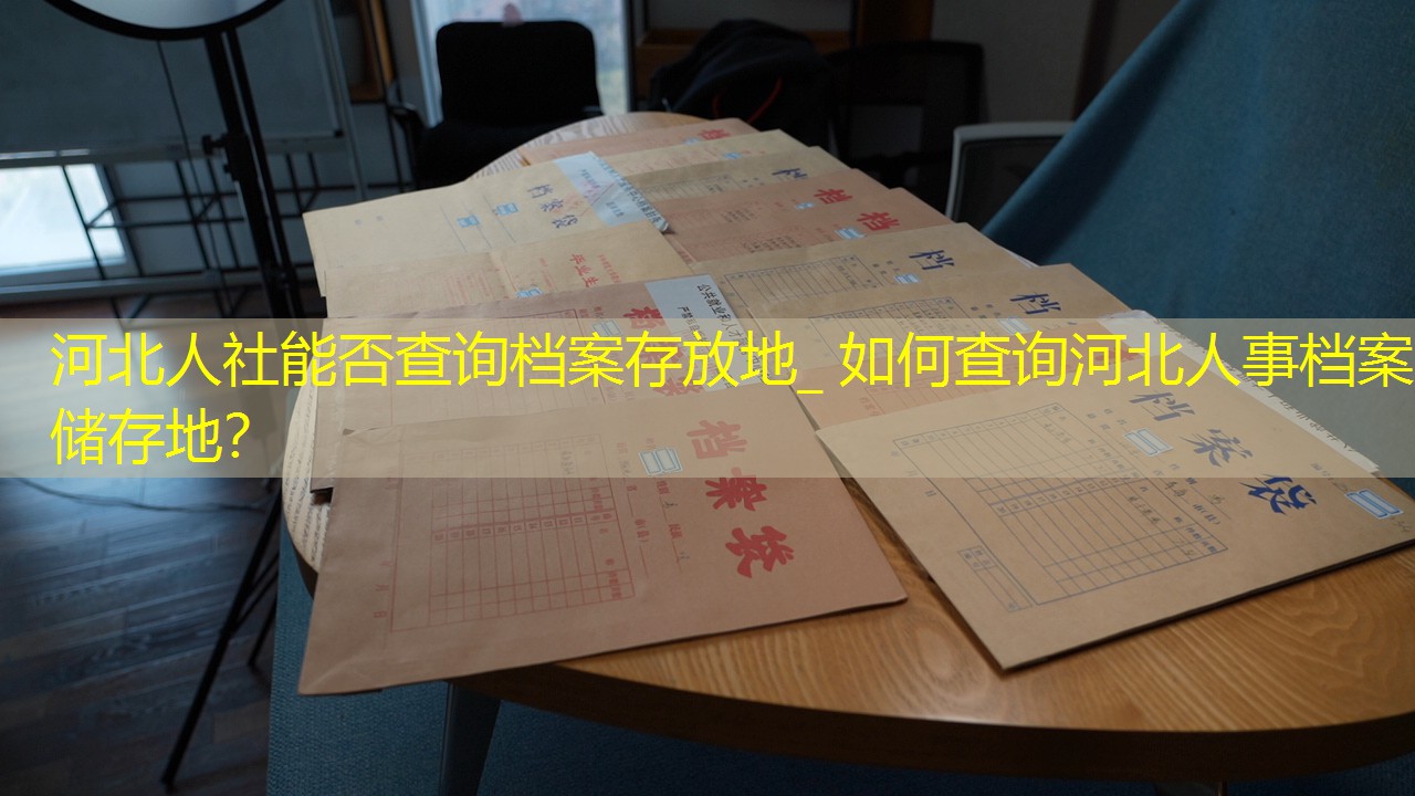 档案查询