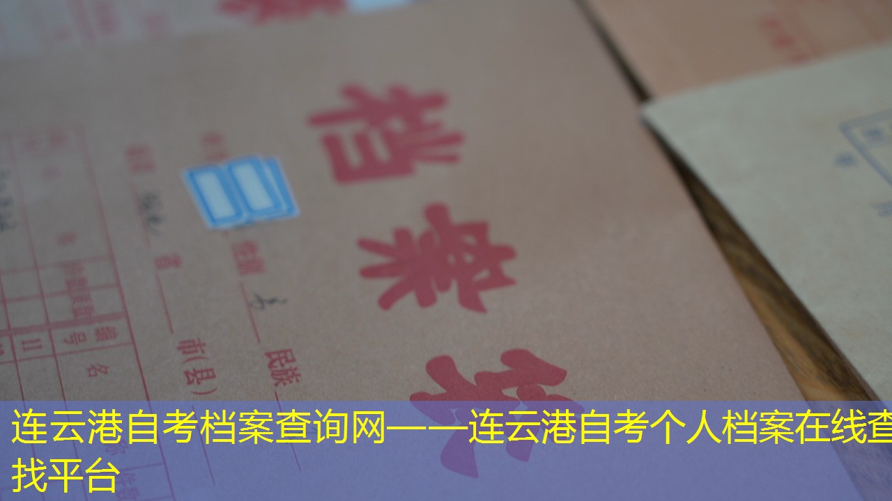 档案查询