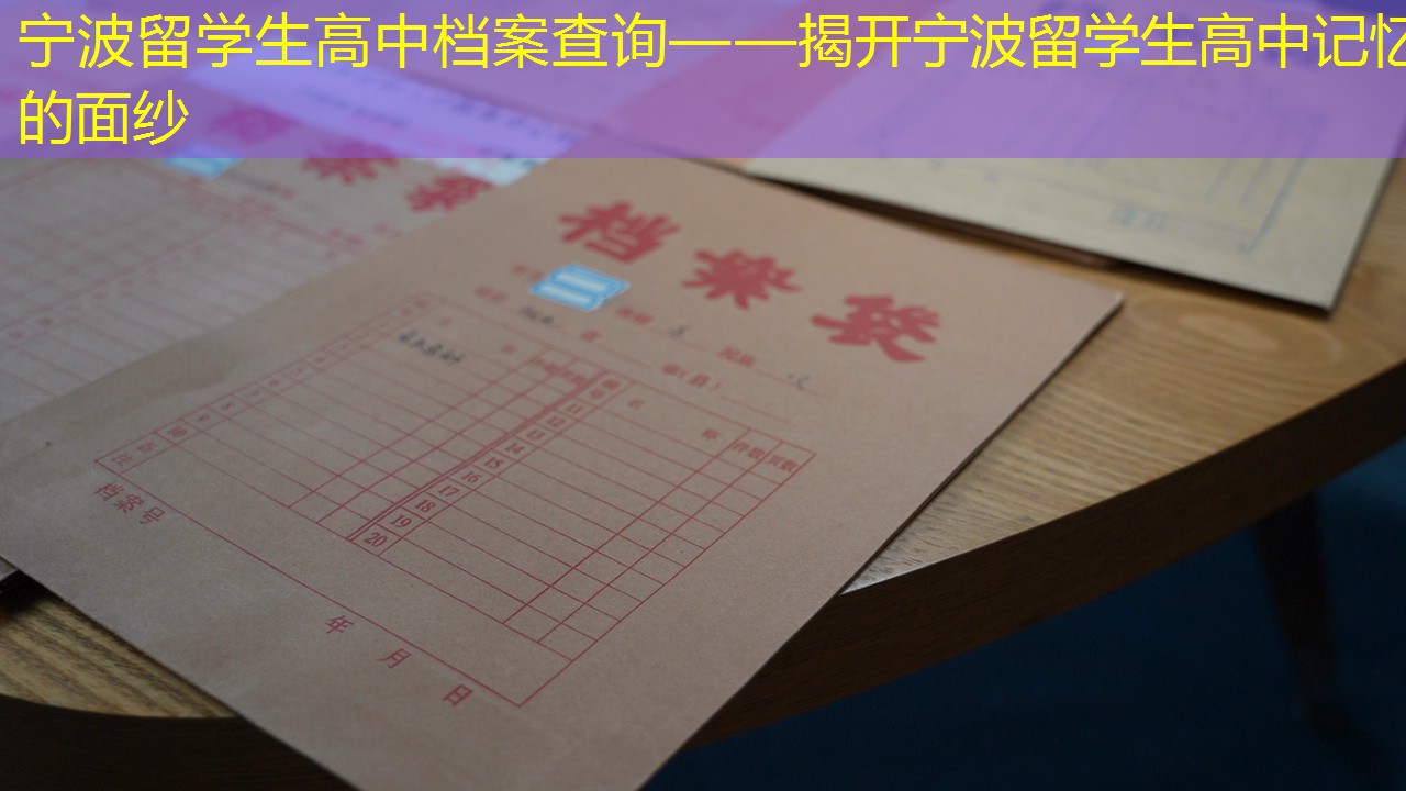 档案查询