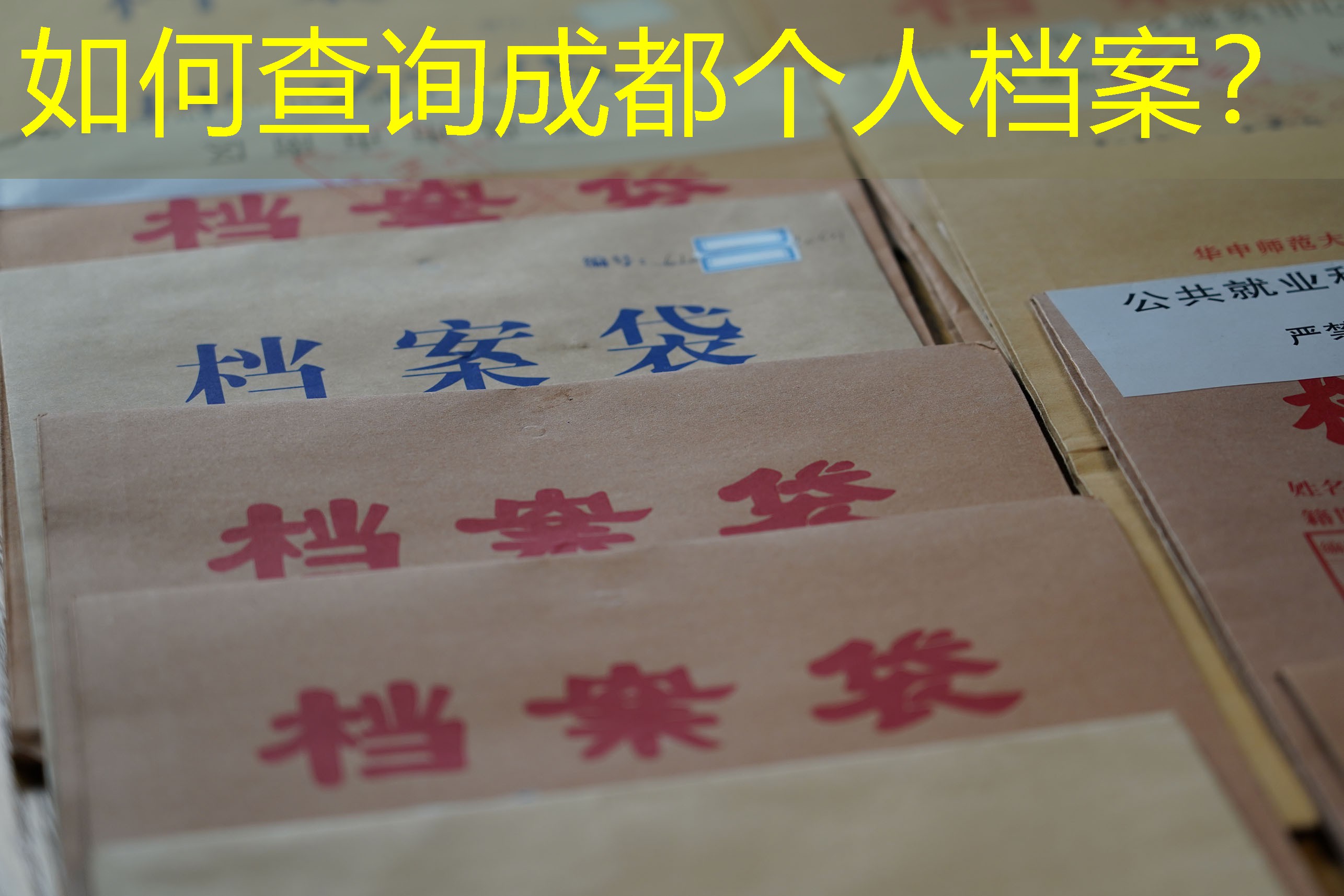 档案查询