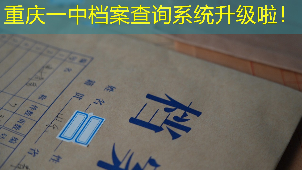 档案查询