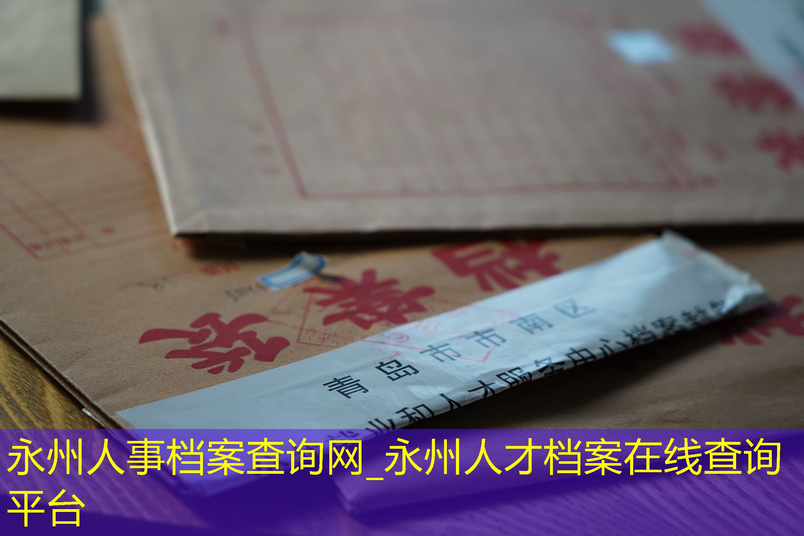 档案查询