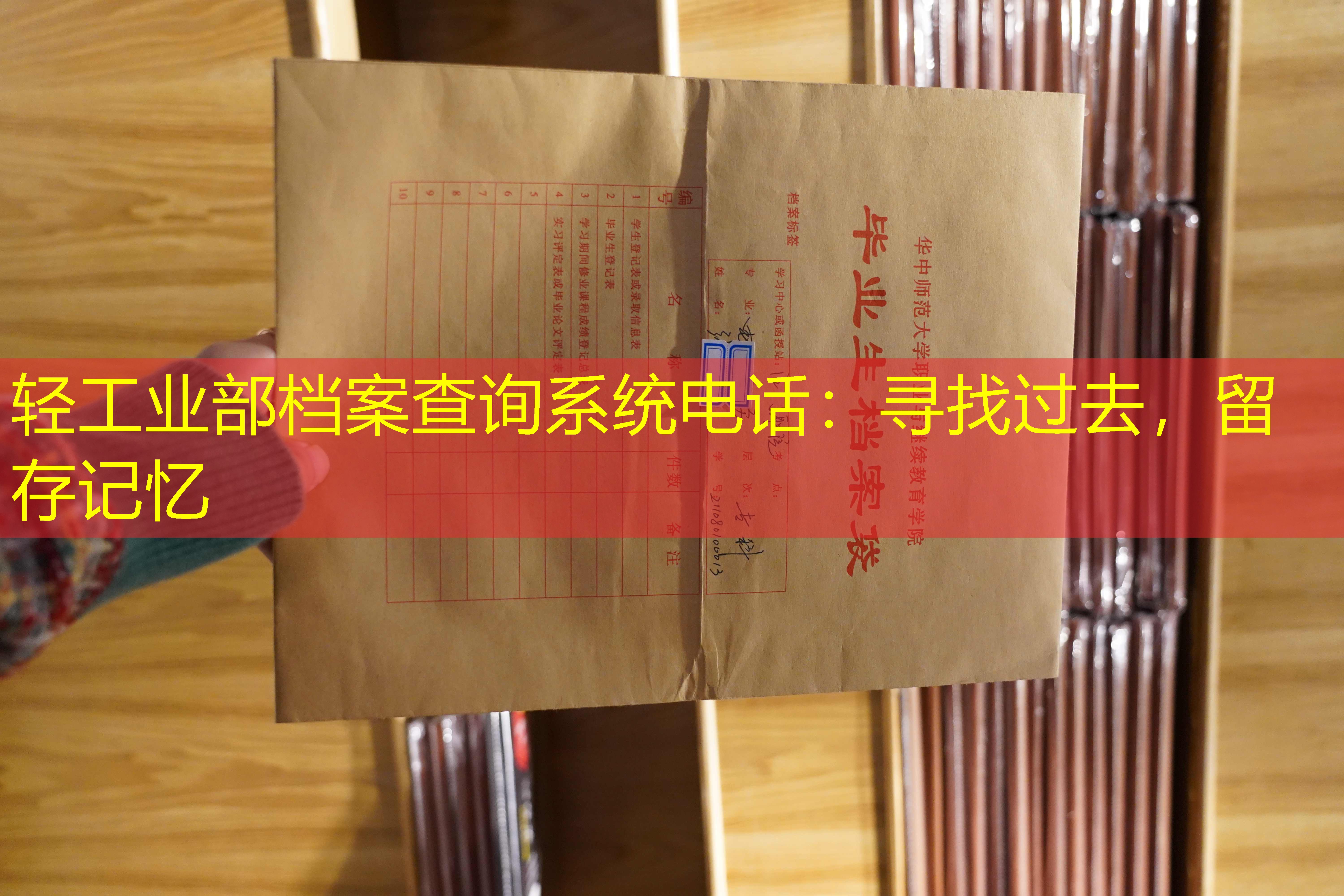 档案查询