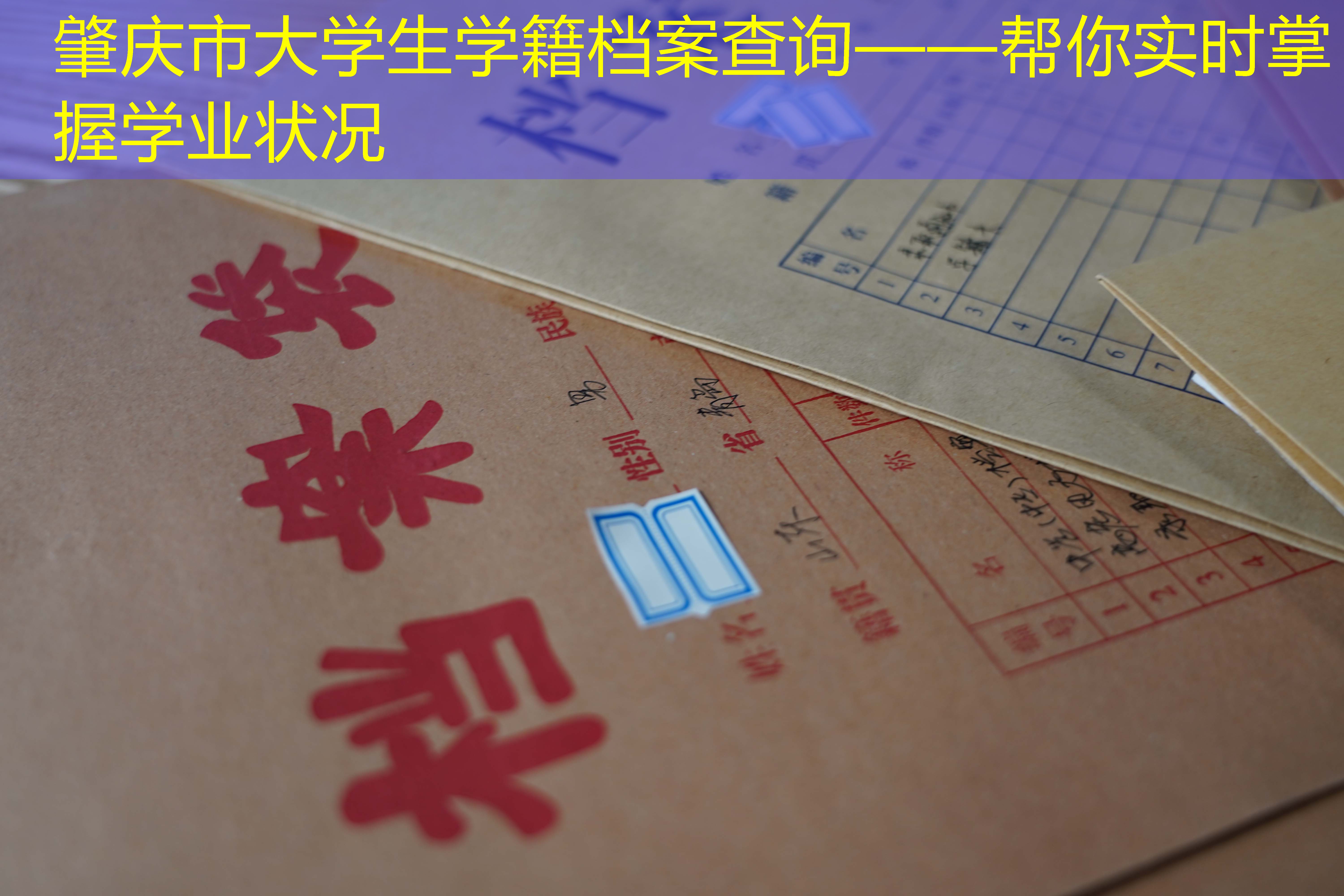 档案查询