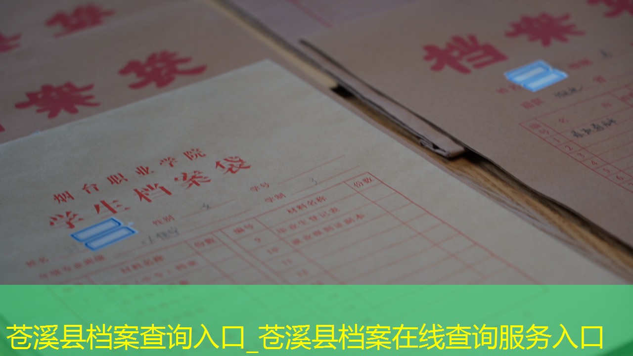 档案查询