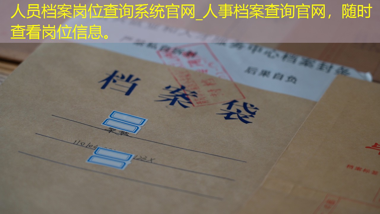 档案查询