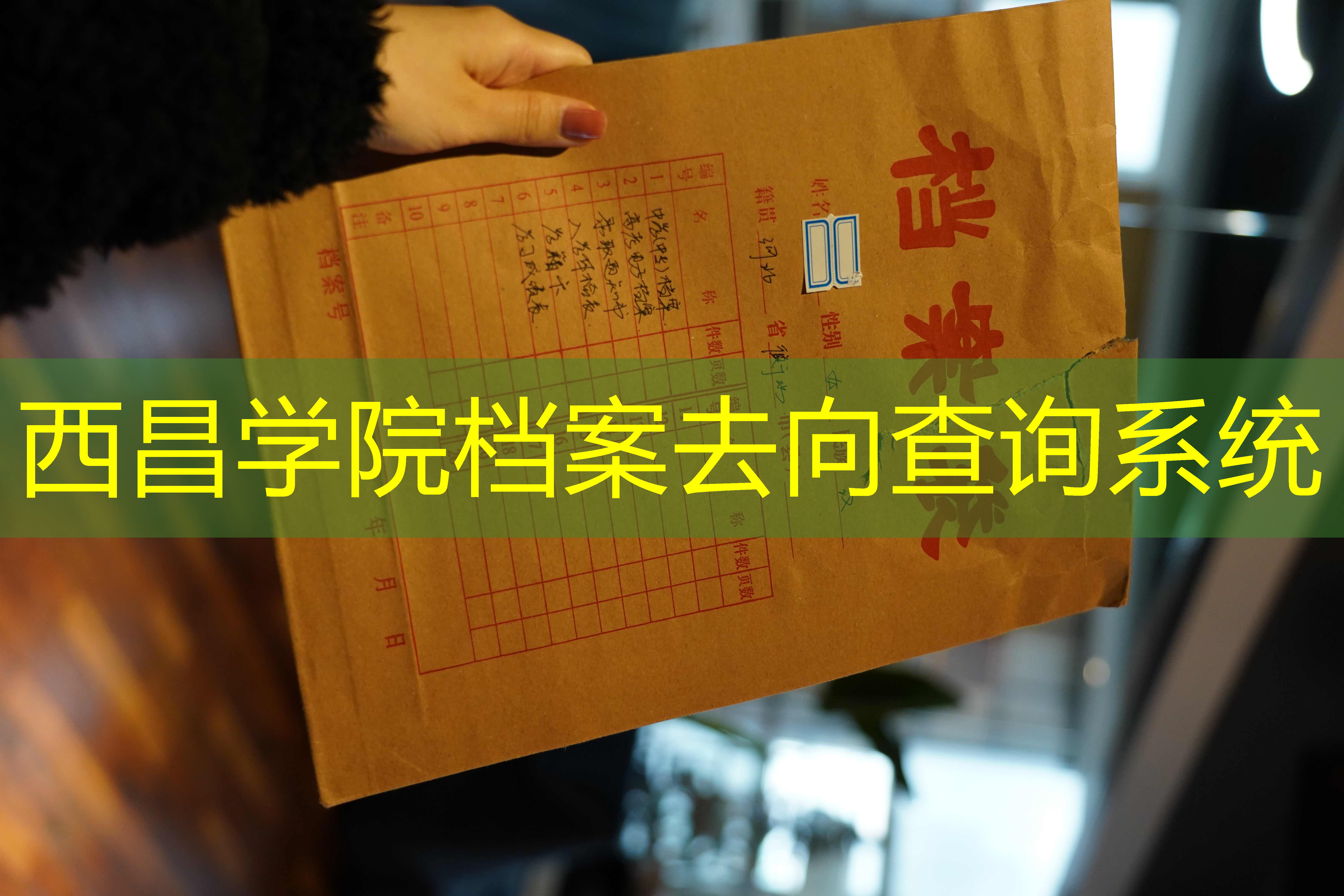 档案查询