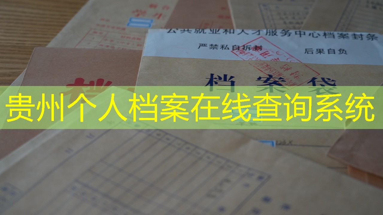 档案查询