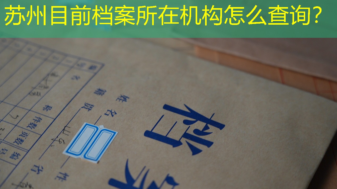 档案查询