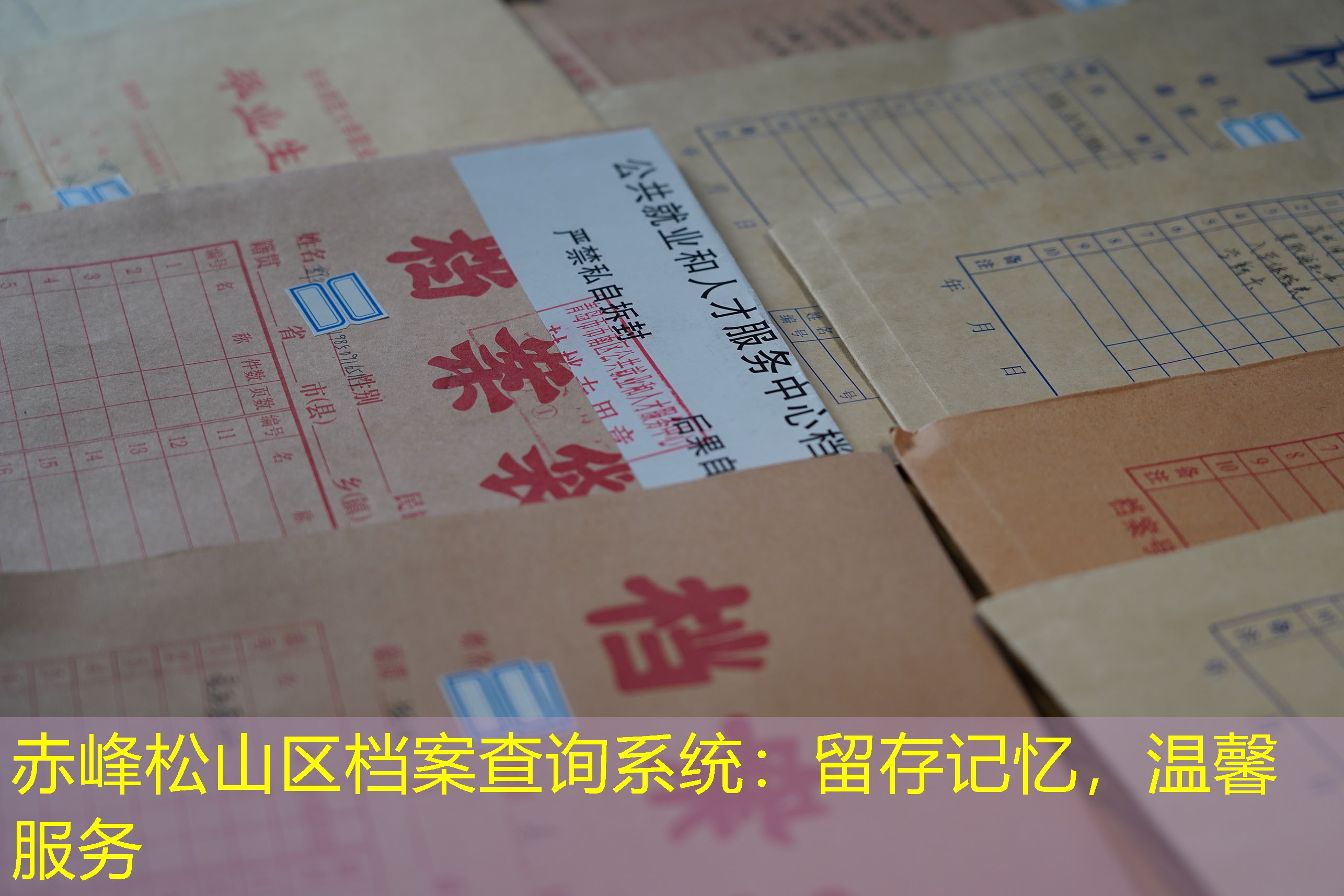 档案查询