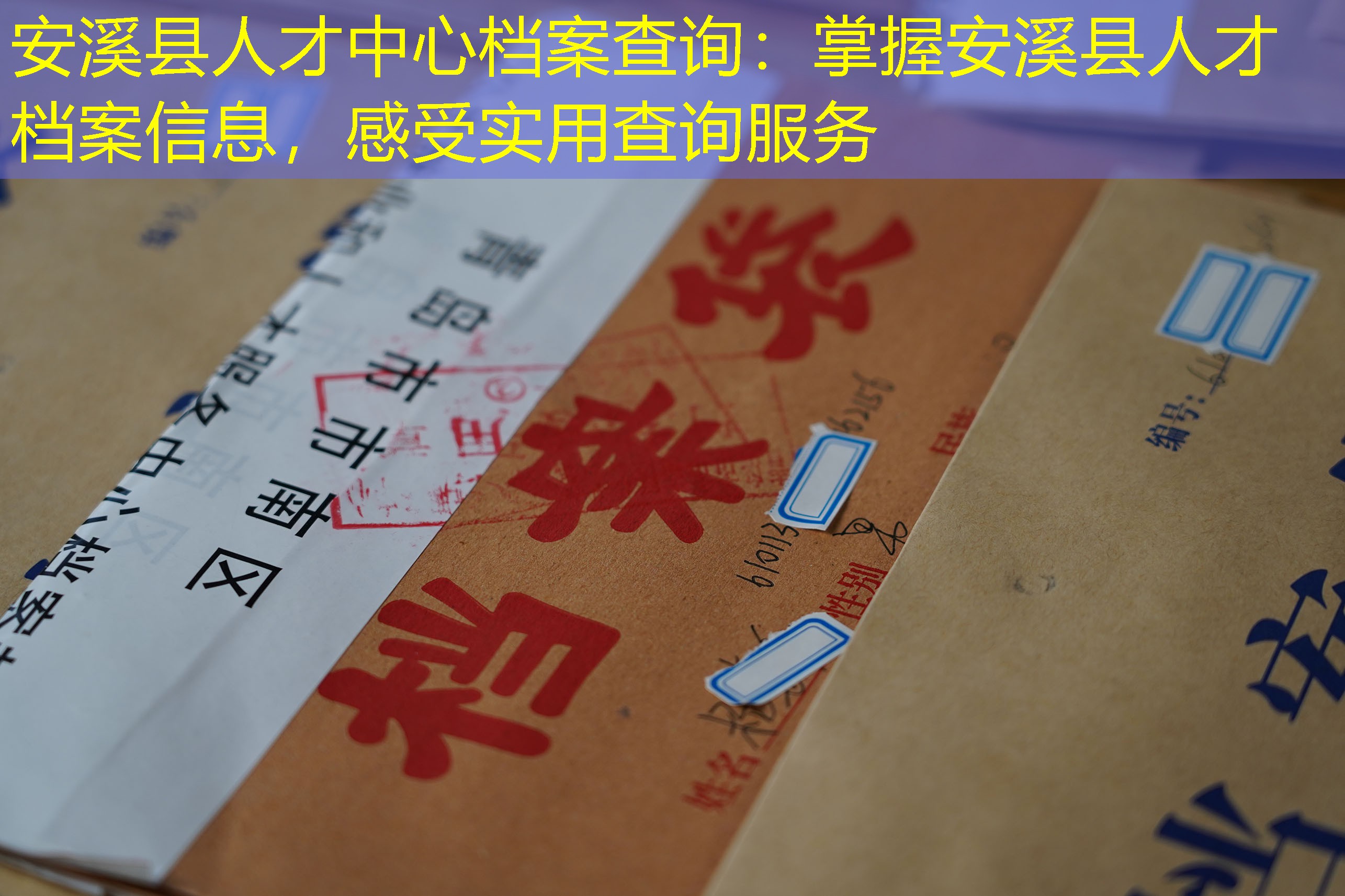 档案查询