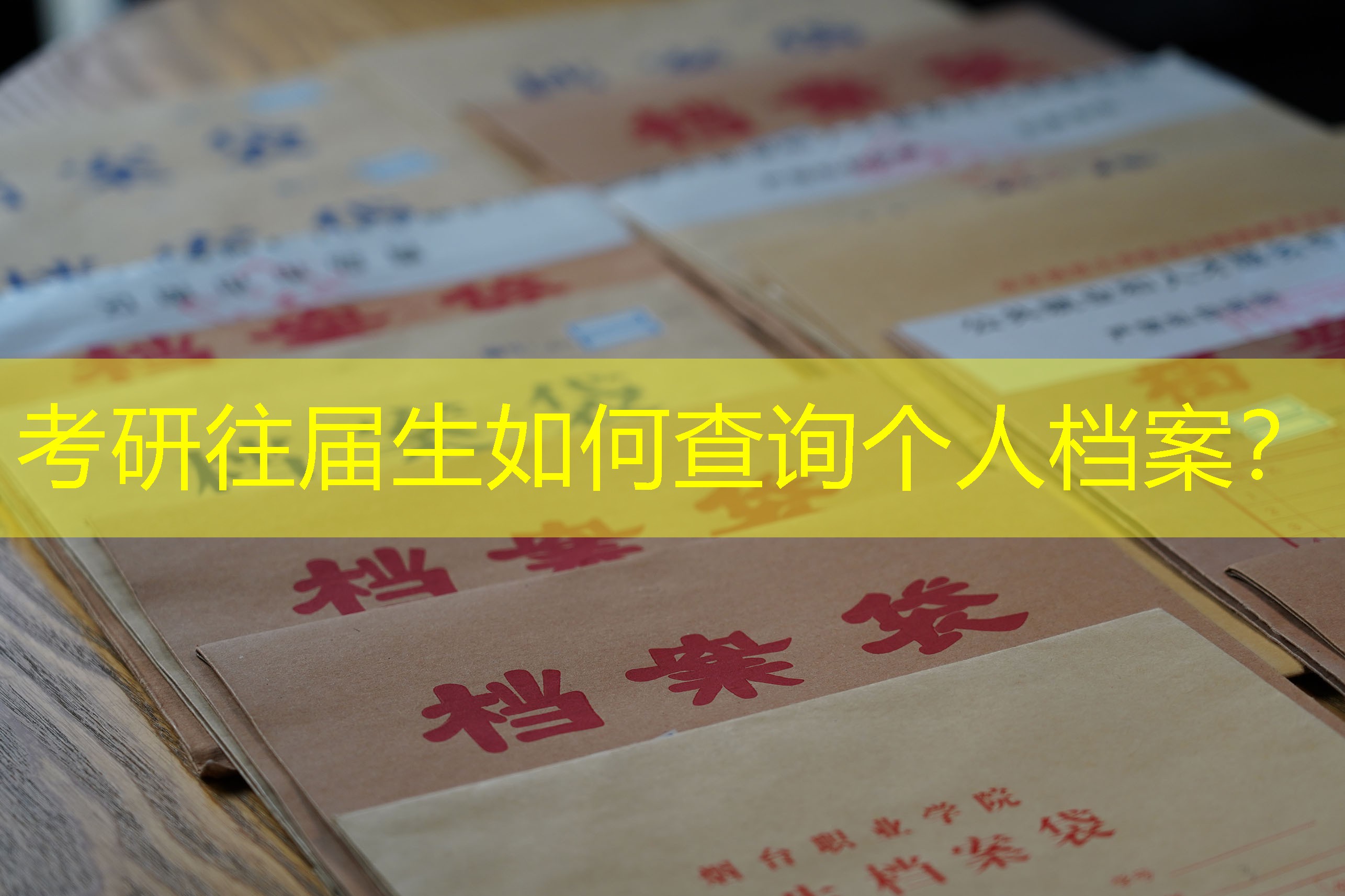档案查询