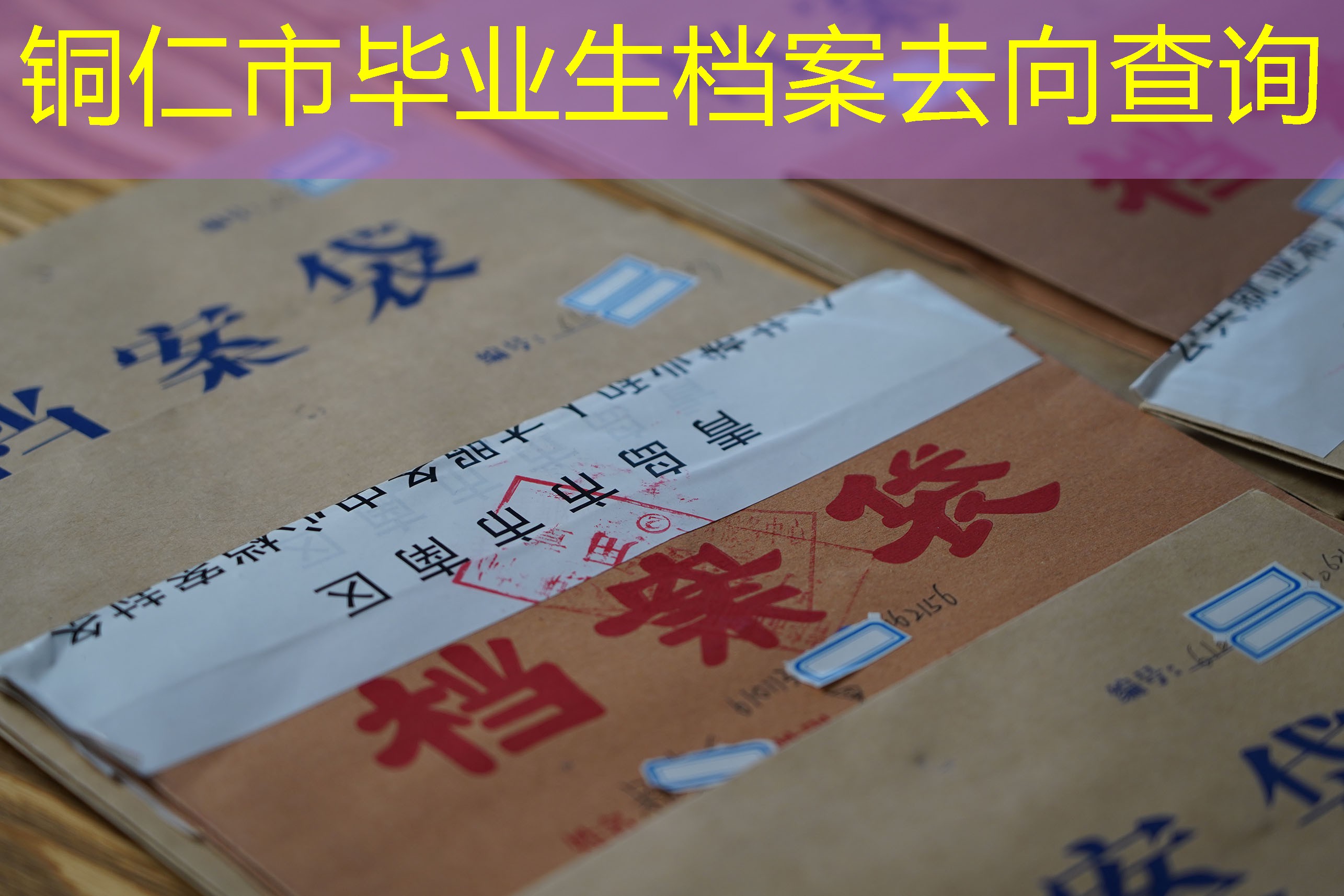 档案查询