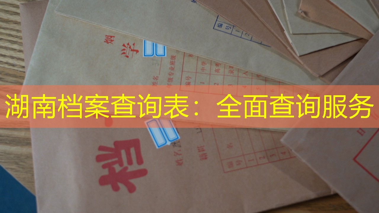 档案查询