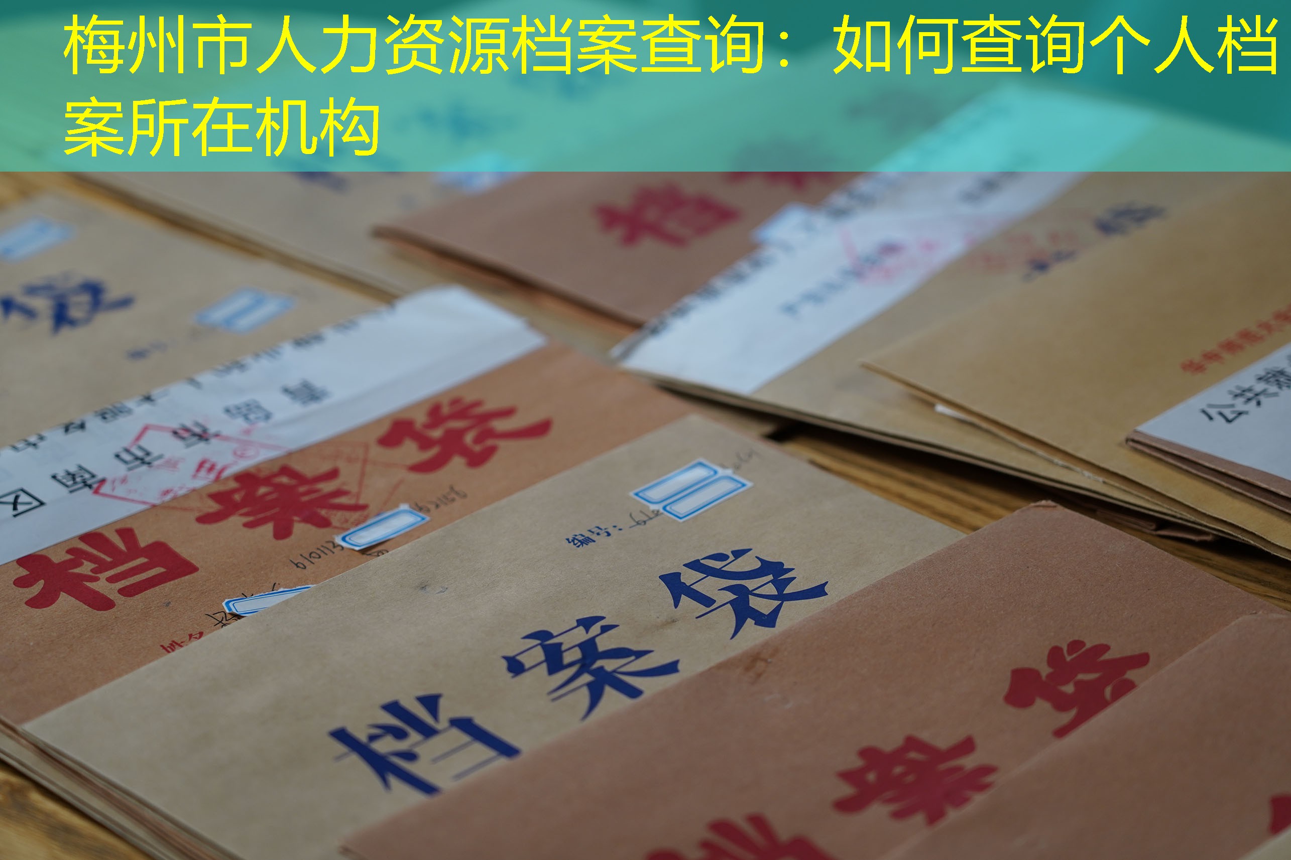 档案查询