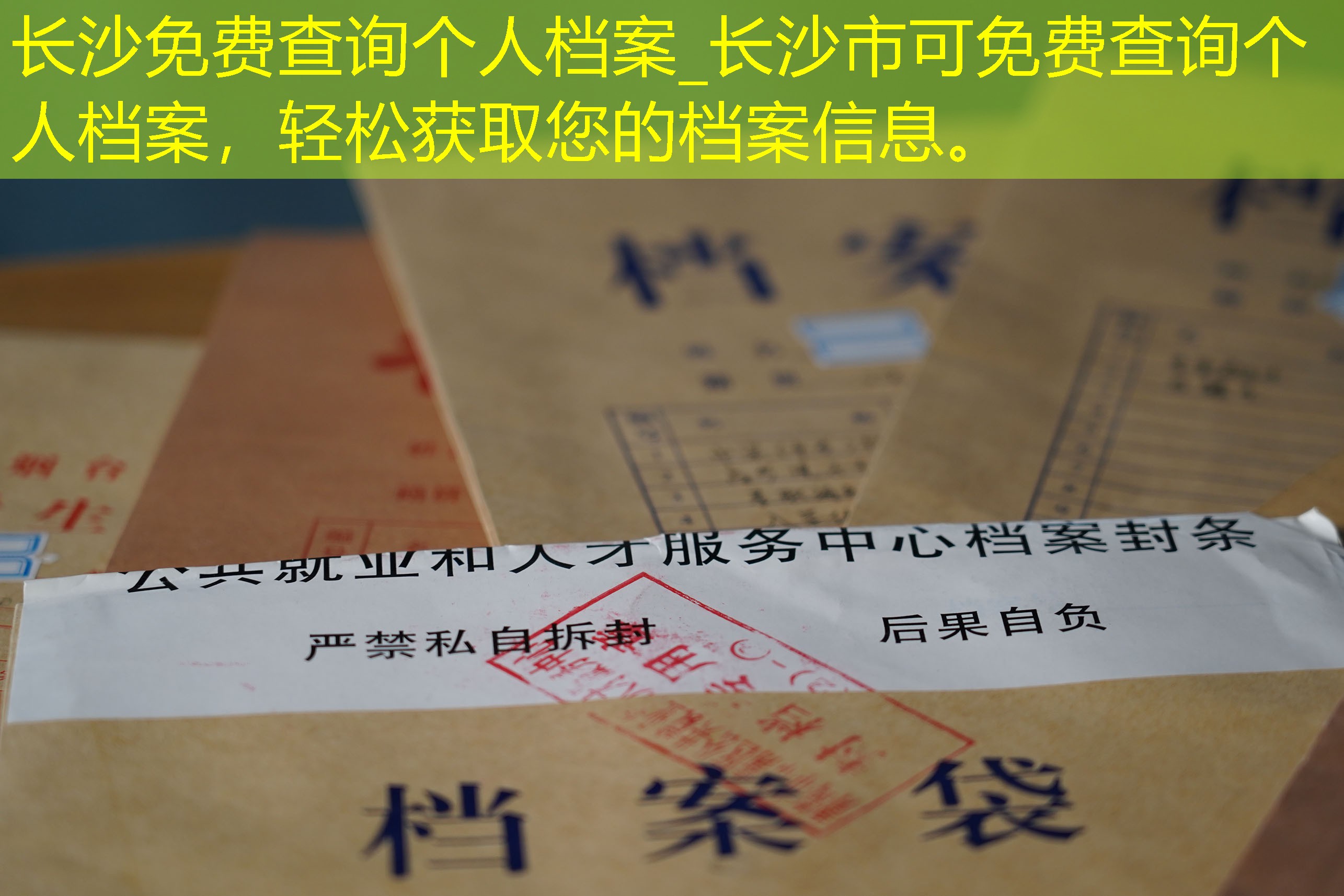 档案查询