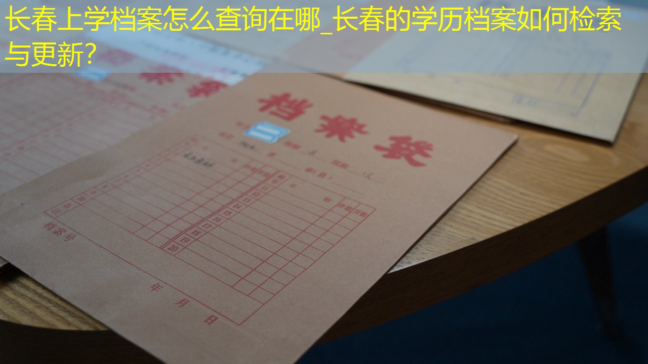 档案查询