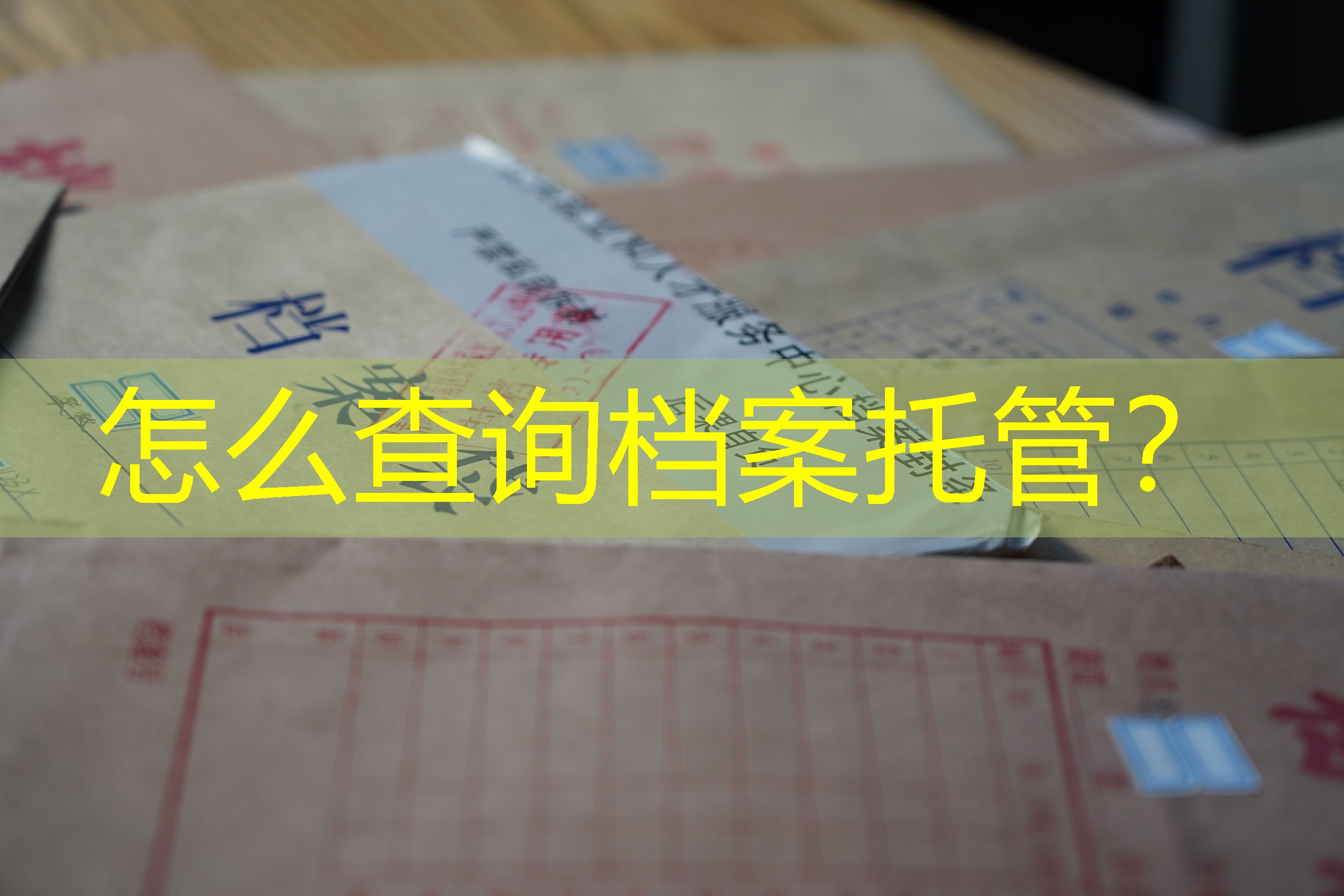 档案查询