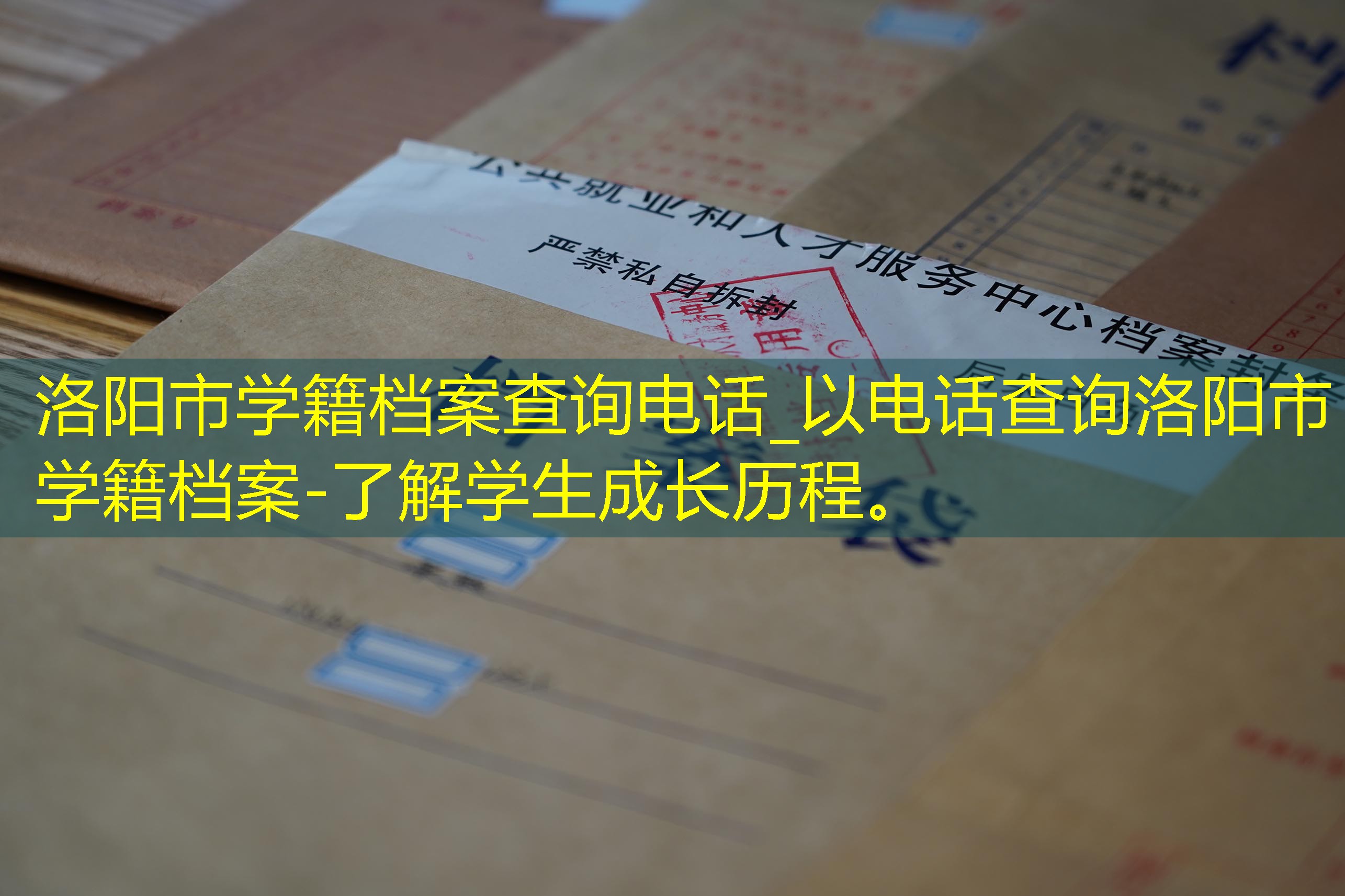 档案查询