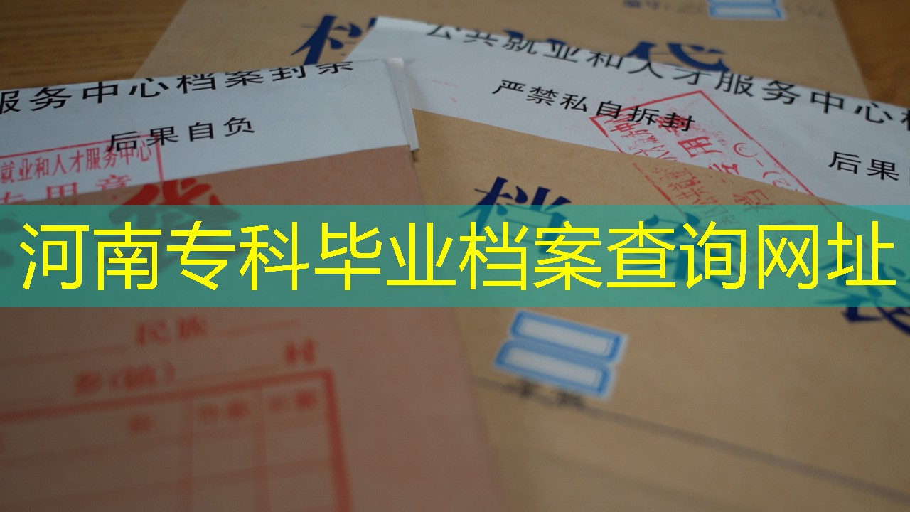 档案查询