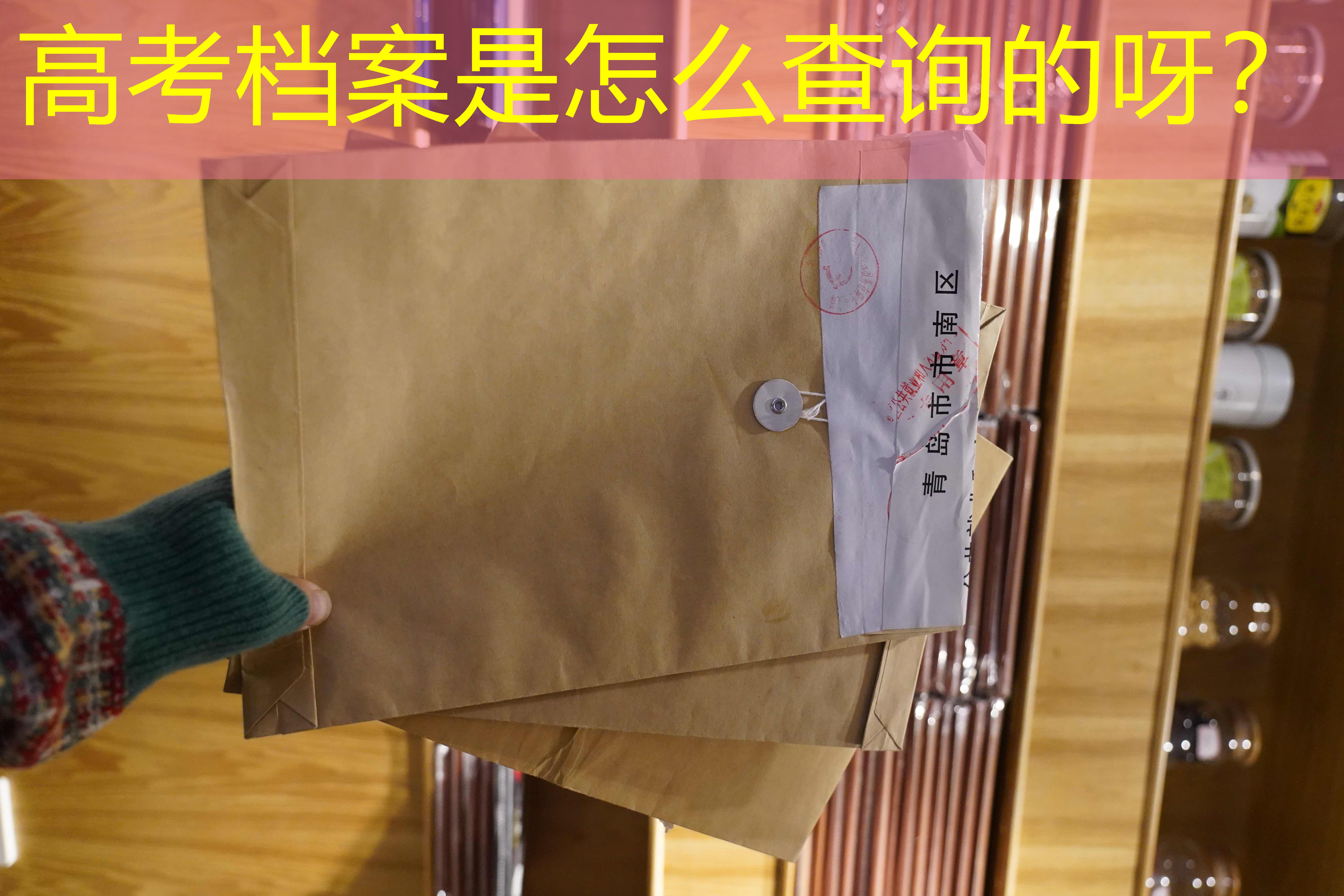 档案查询