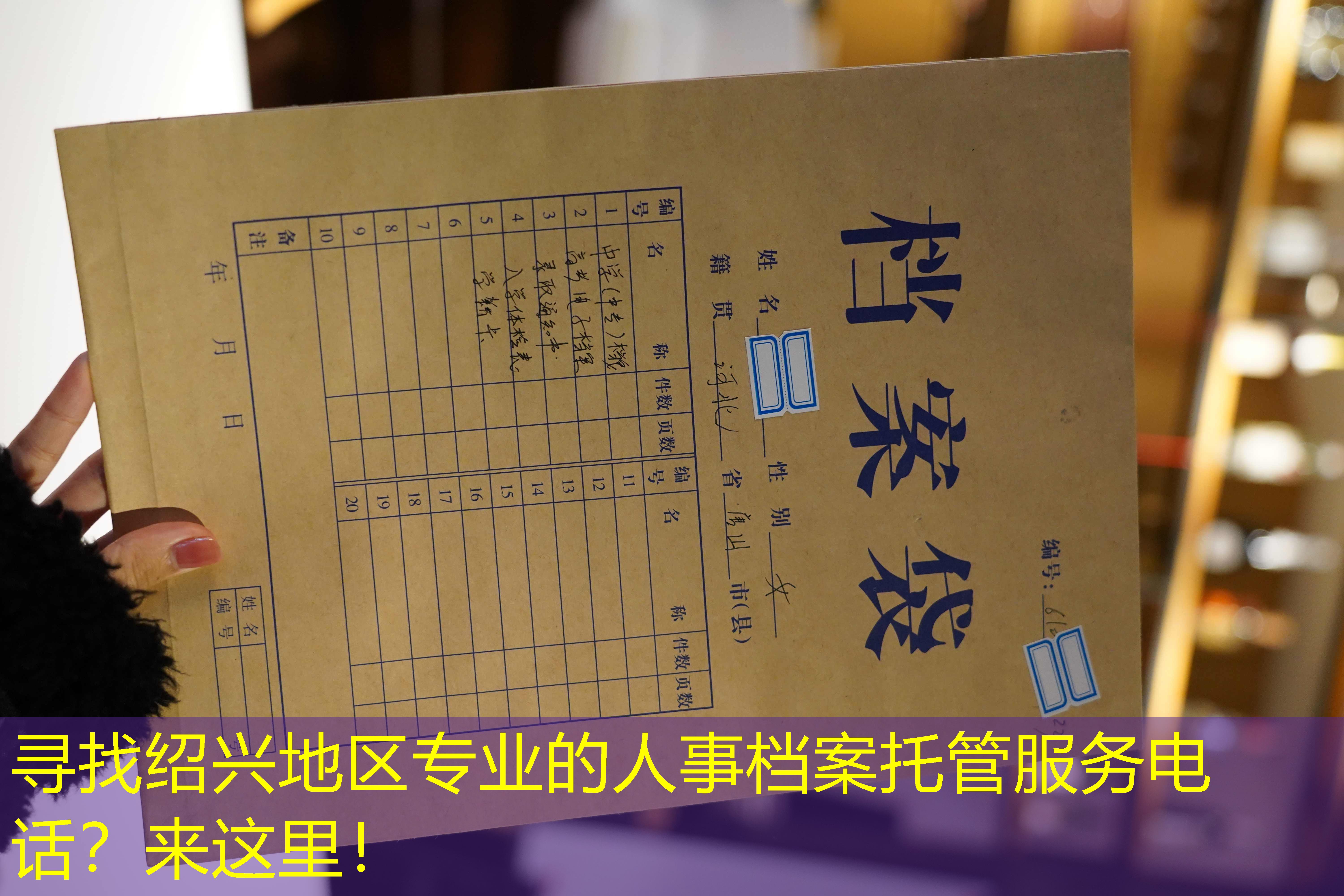 档案查询