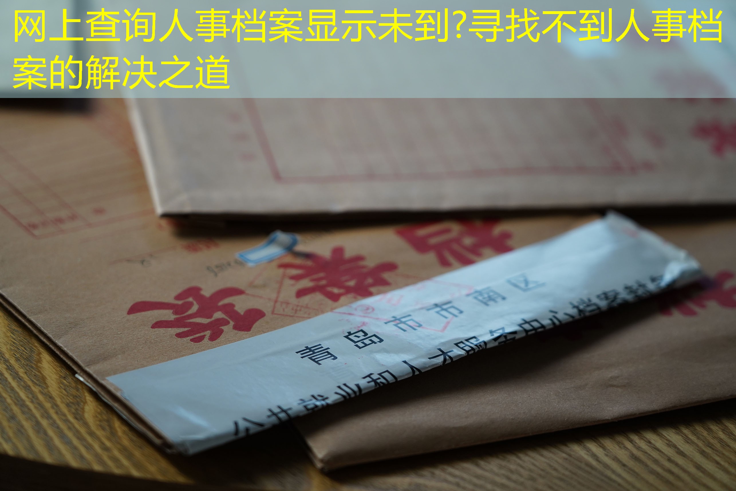 档案查询
