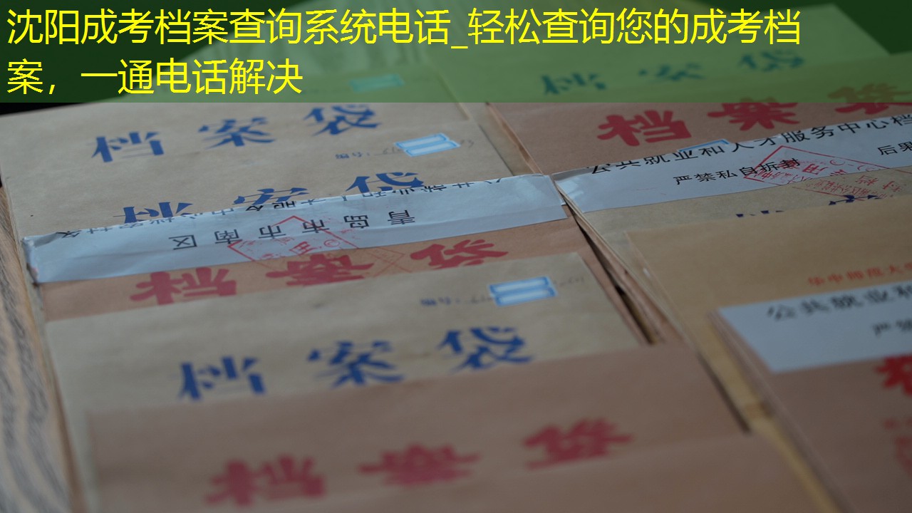 档案查询