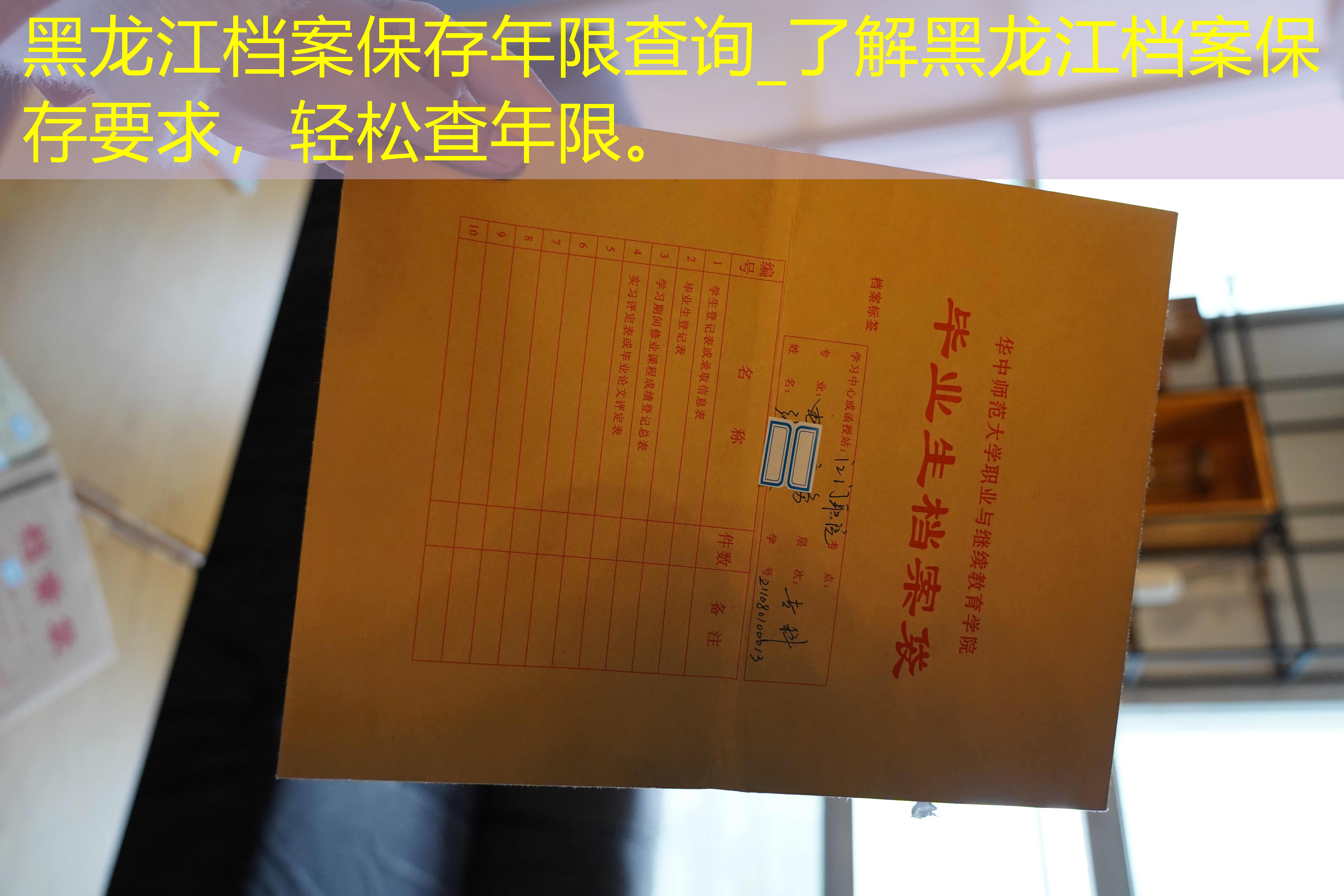 档案查询