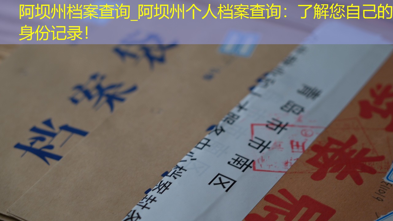 档案查询