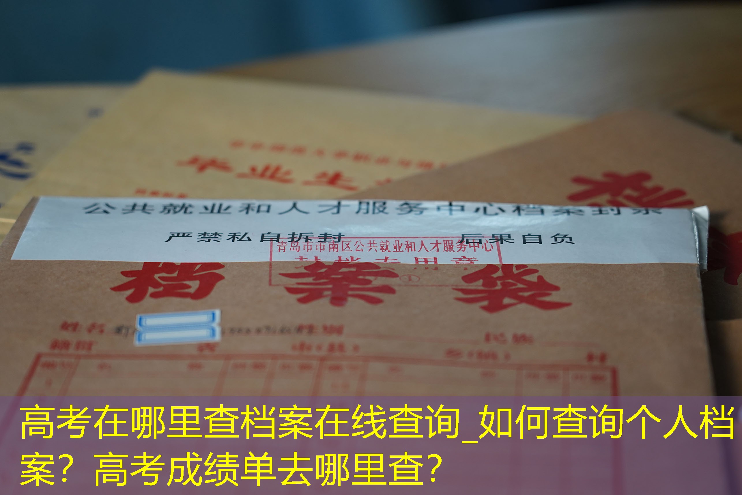 档案查询