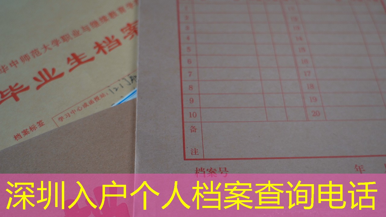 档案查询