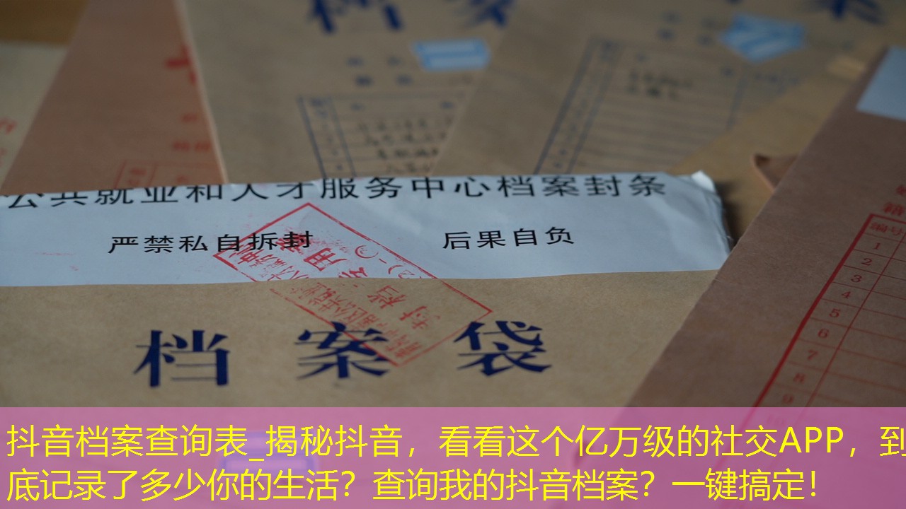 档案查询