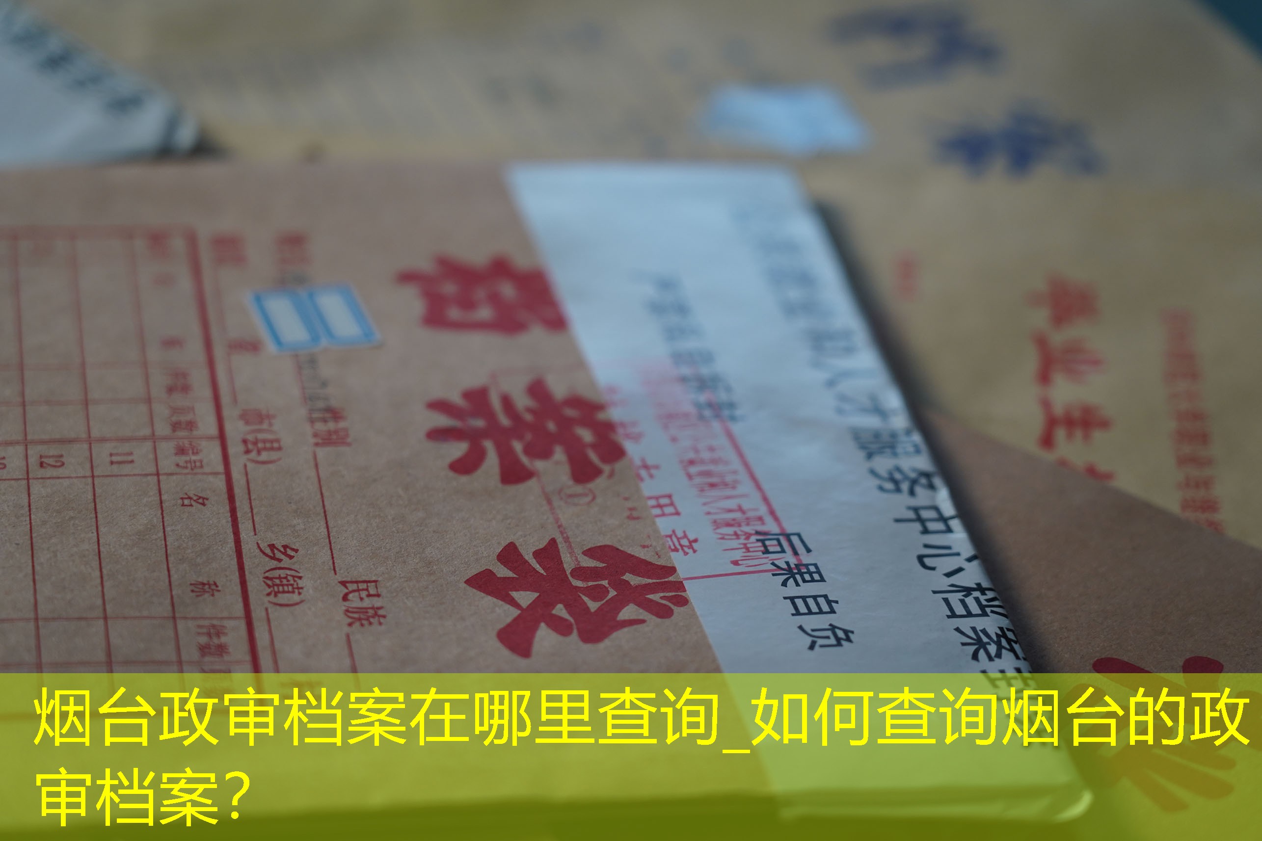 档案查询