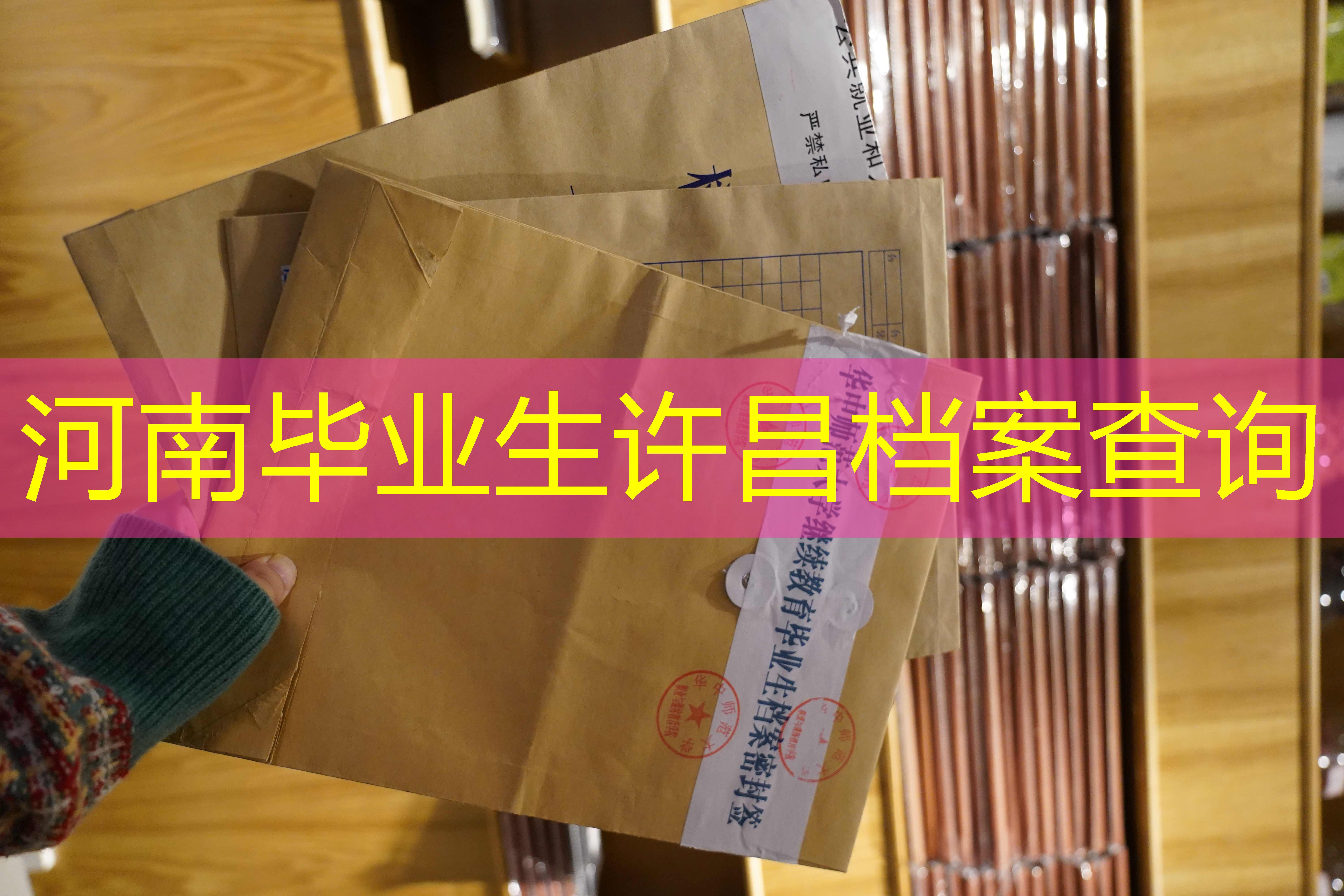 档案查询
