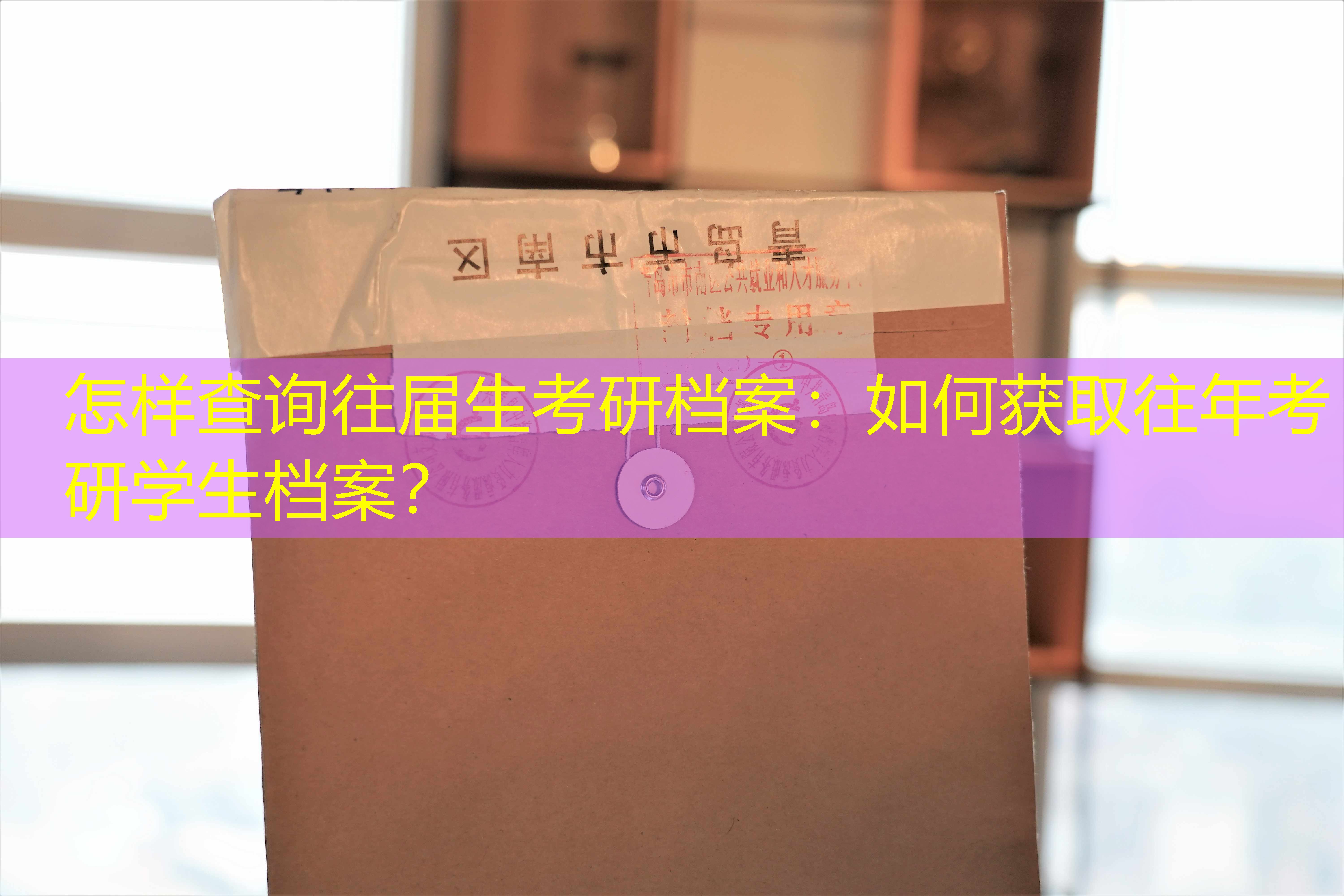 档案查询