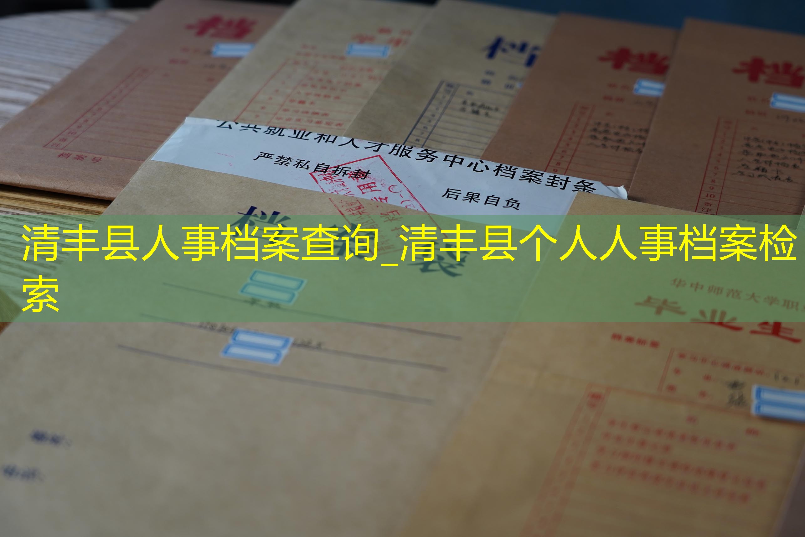 档案查询