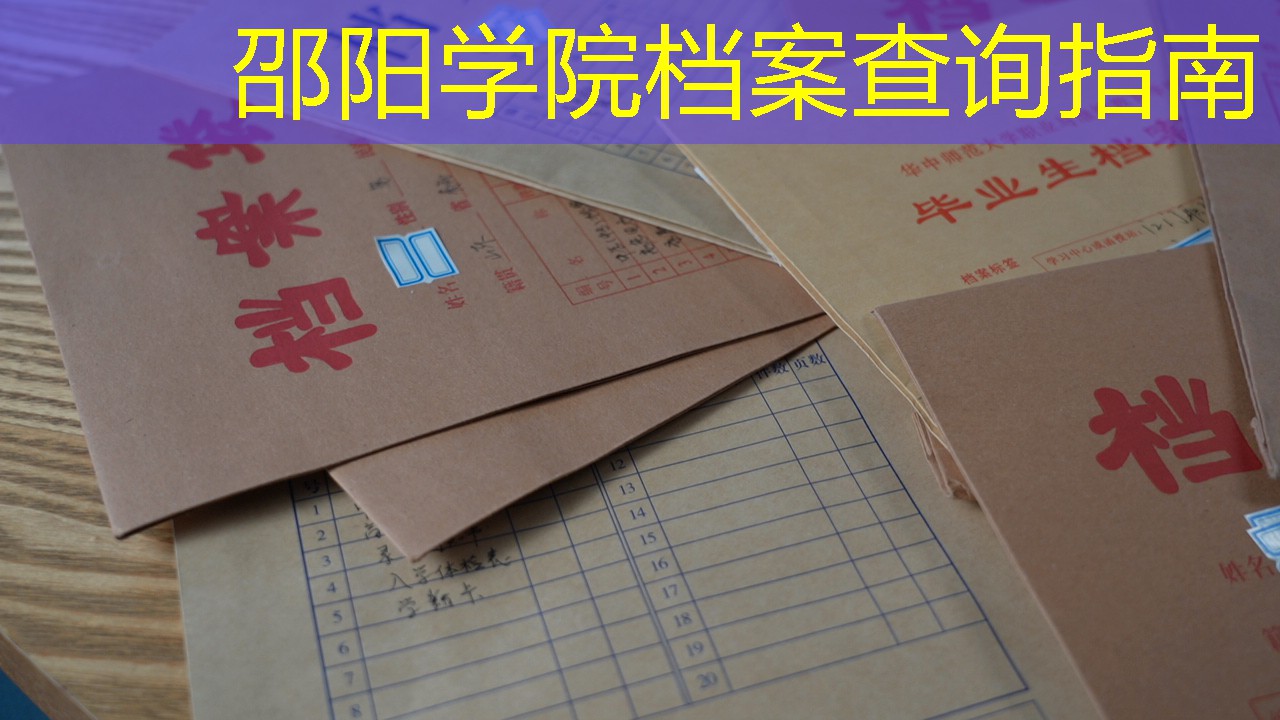 档案查询