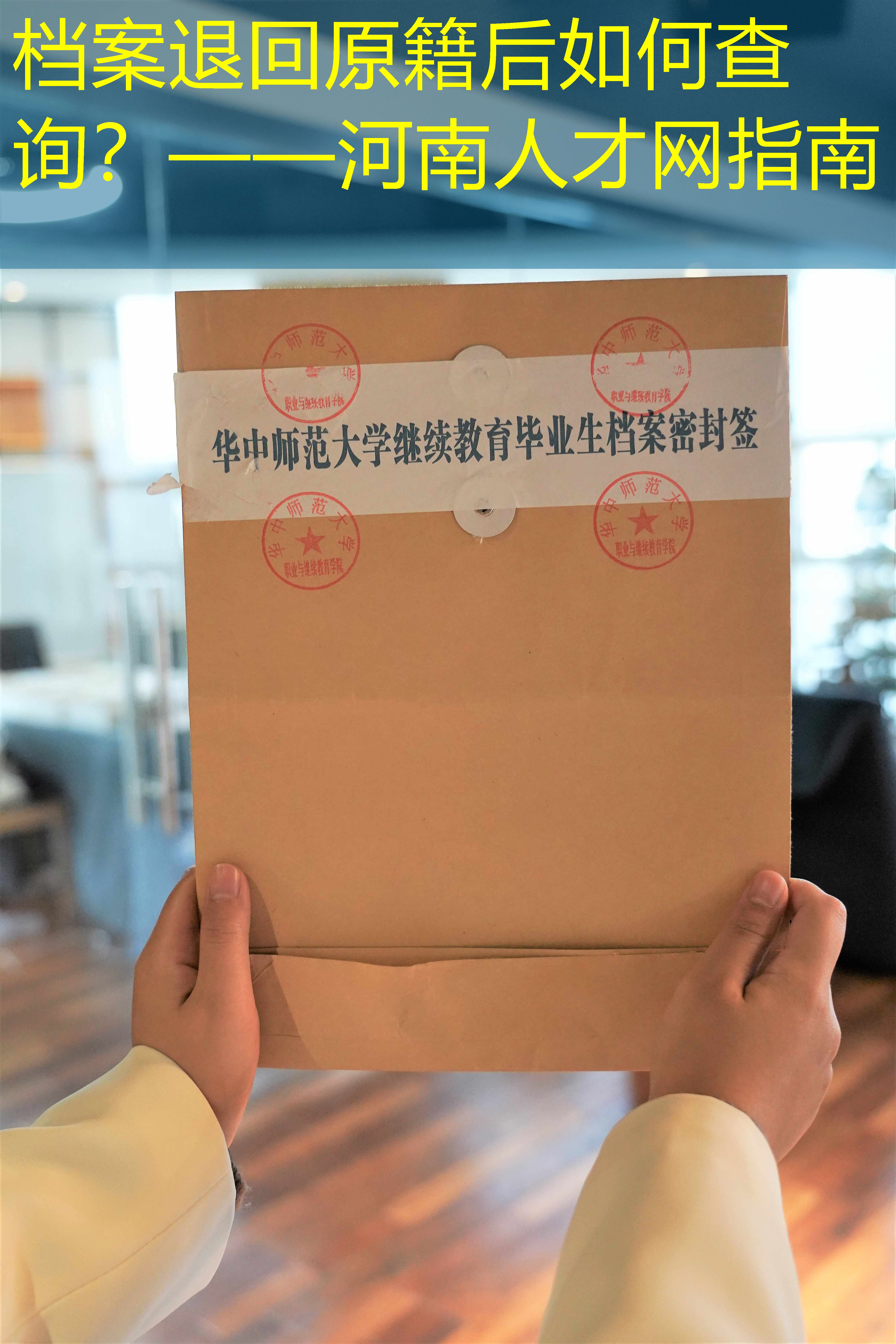档案查询