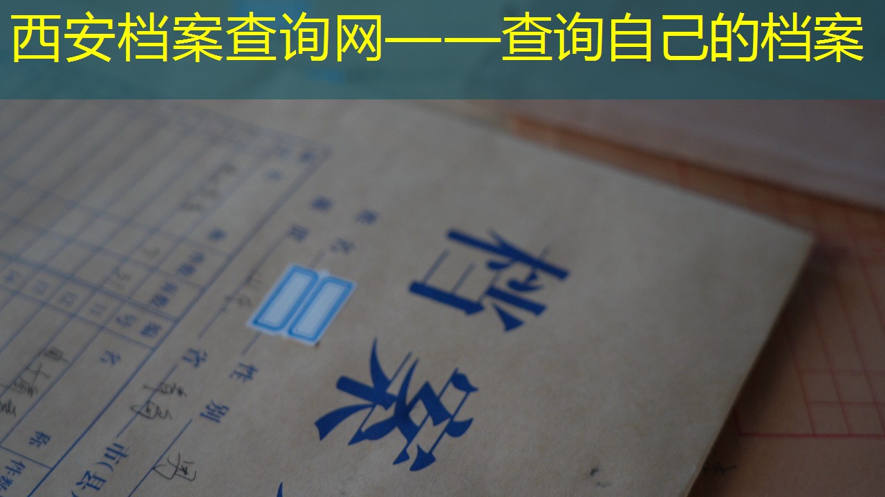 档案查询