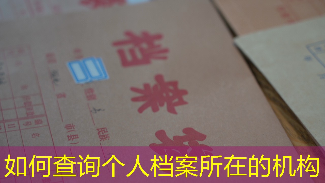 档案查询