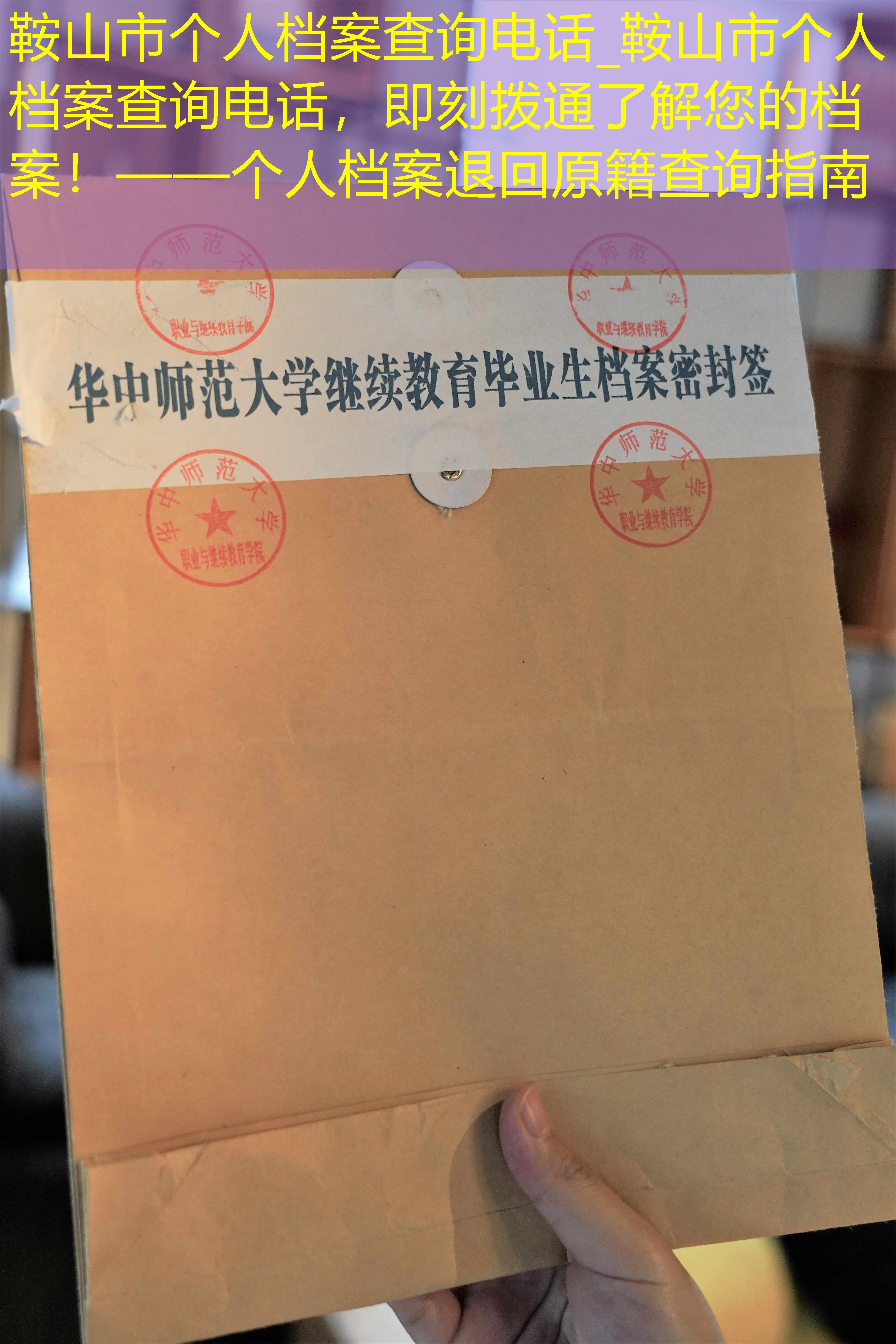 档案查询