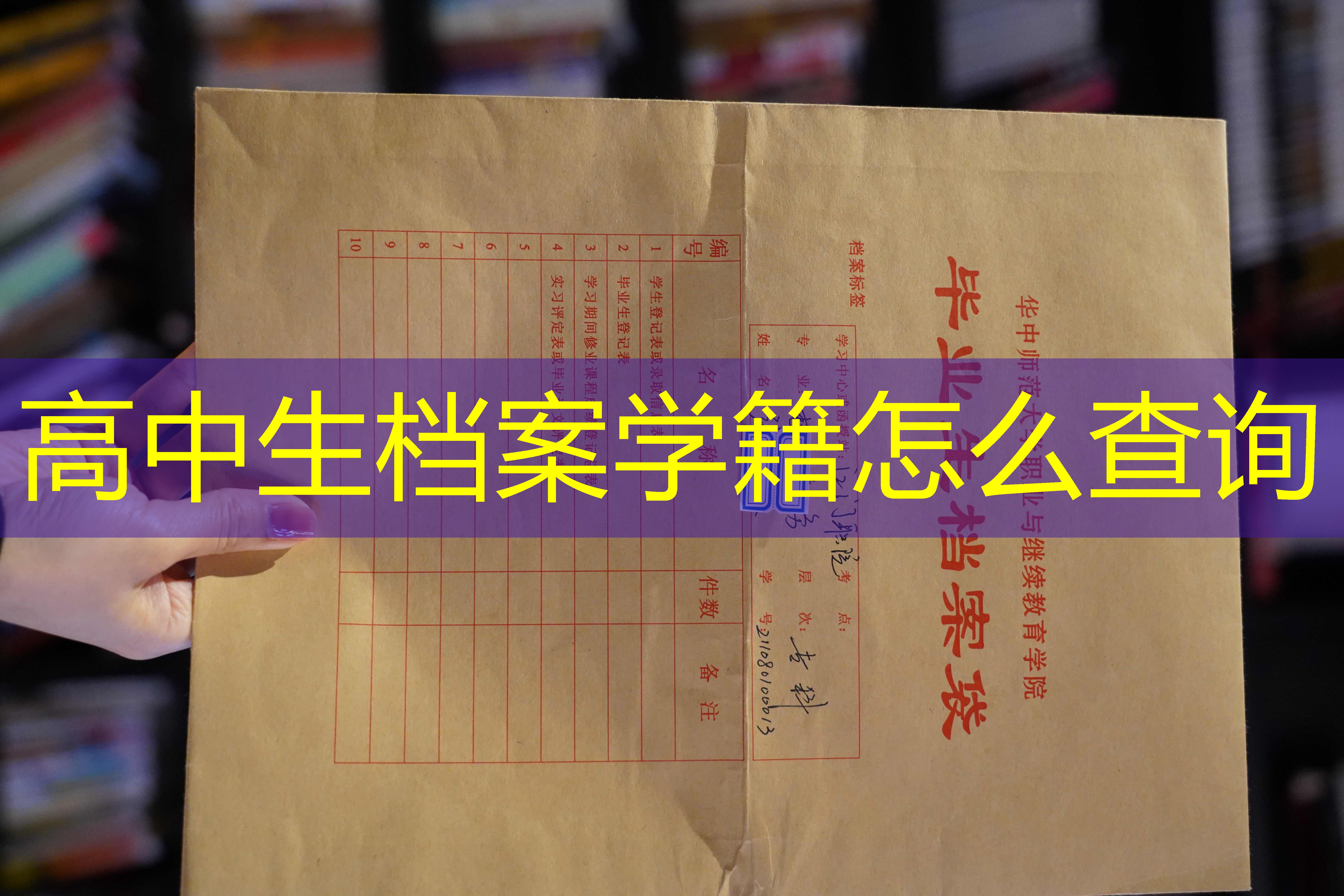 档案查询