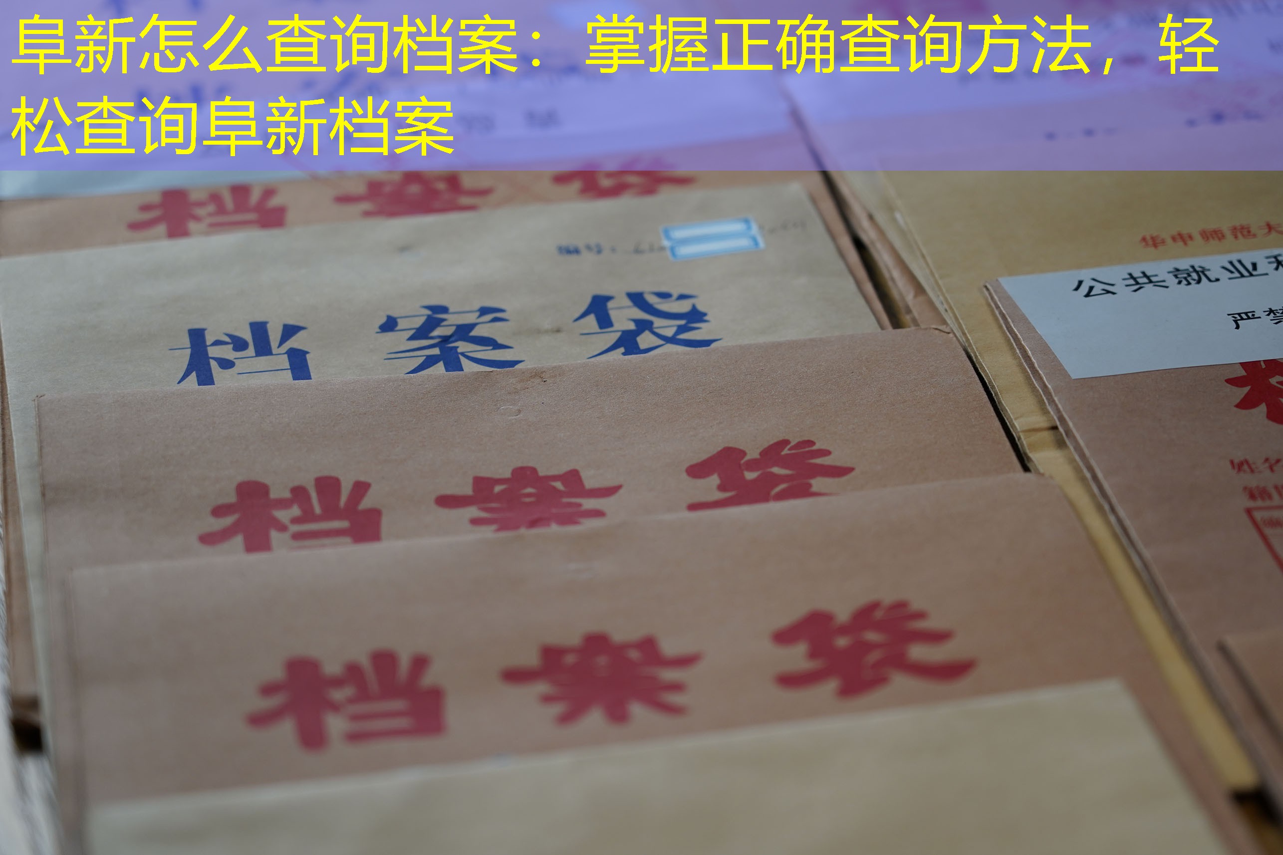 档案查询